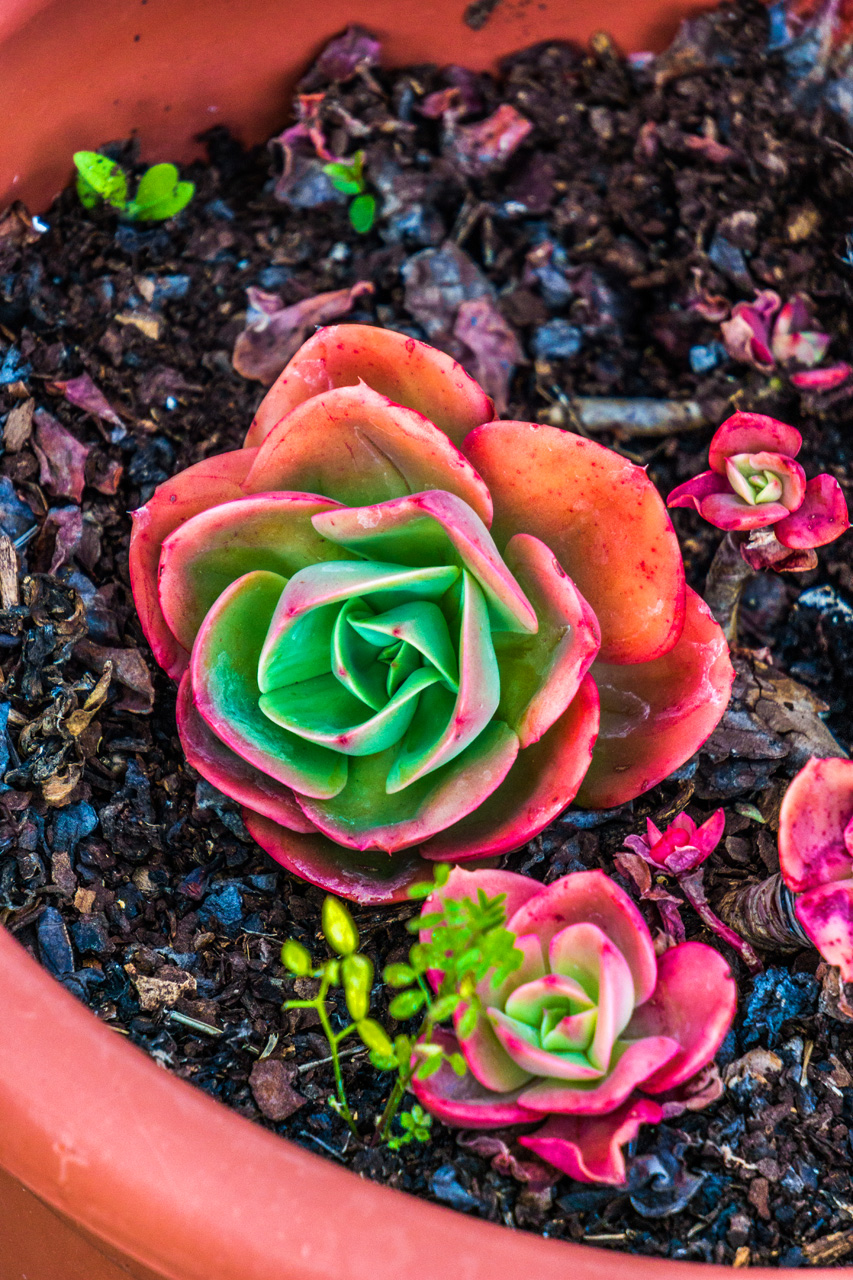 Pinar to La Herradura 7131