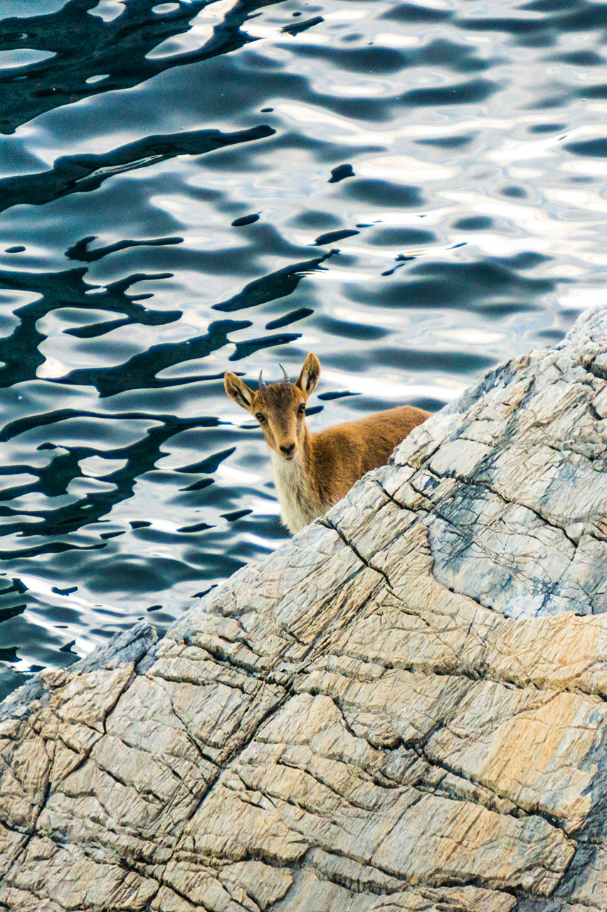 Pinar to La Herradura 7134