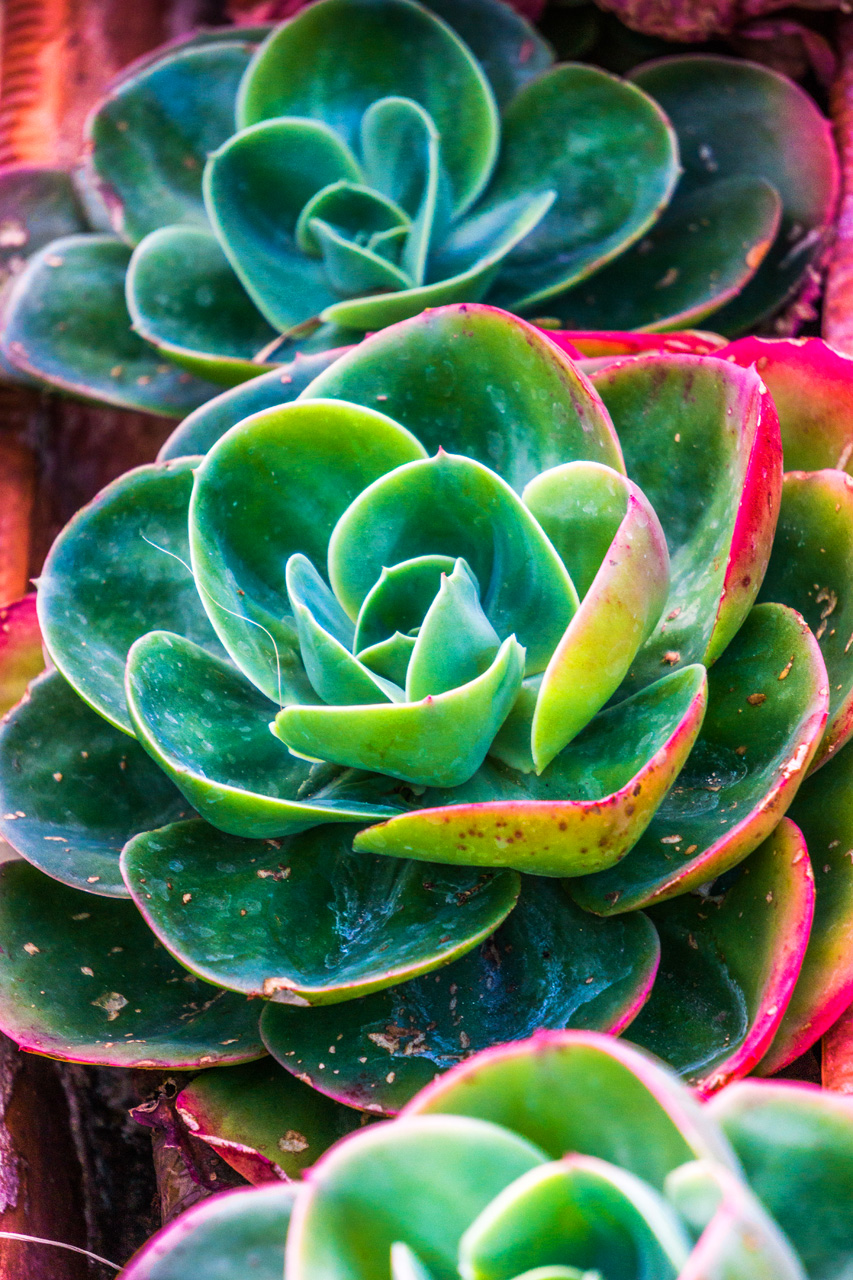 Pinar to La Herradura 7135