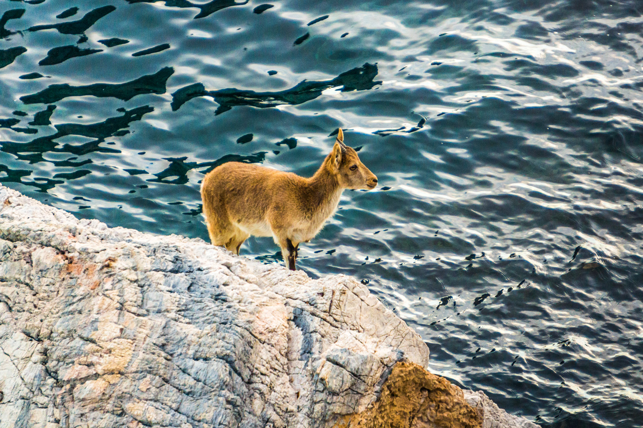 Pinar to La Herradura 7140