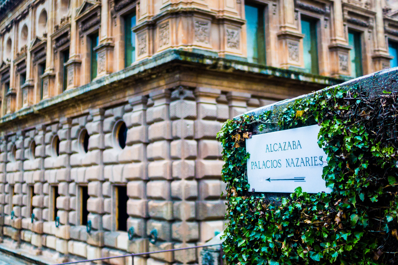 Al Hambra and Granada 7639