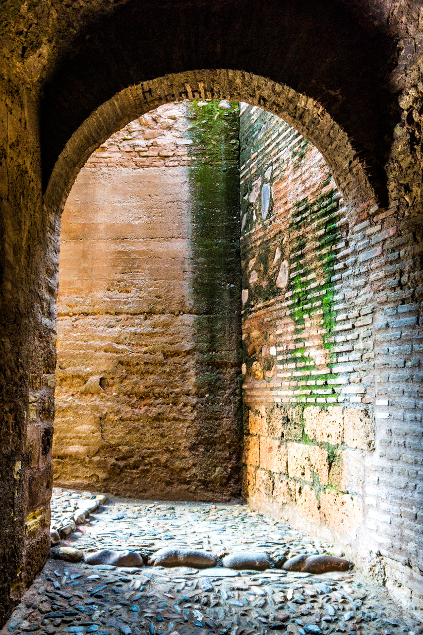 Al Hambra and Granada 7860