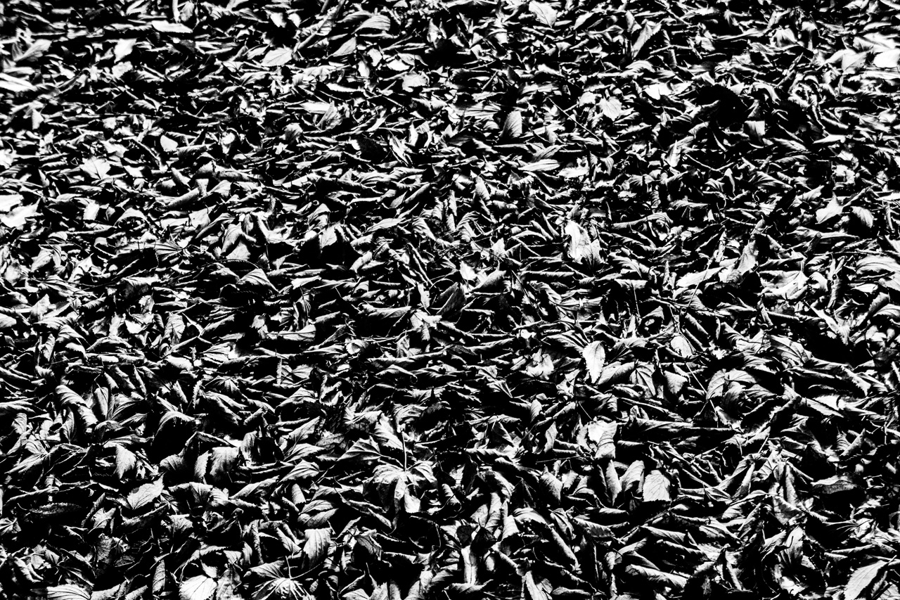 Al Hambra and Granada 7911