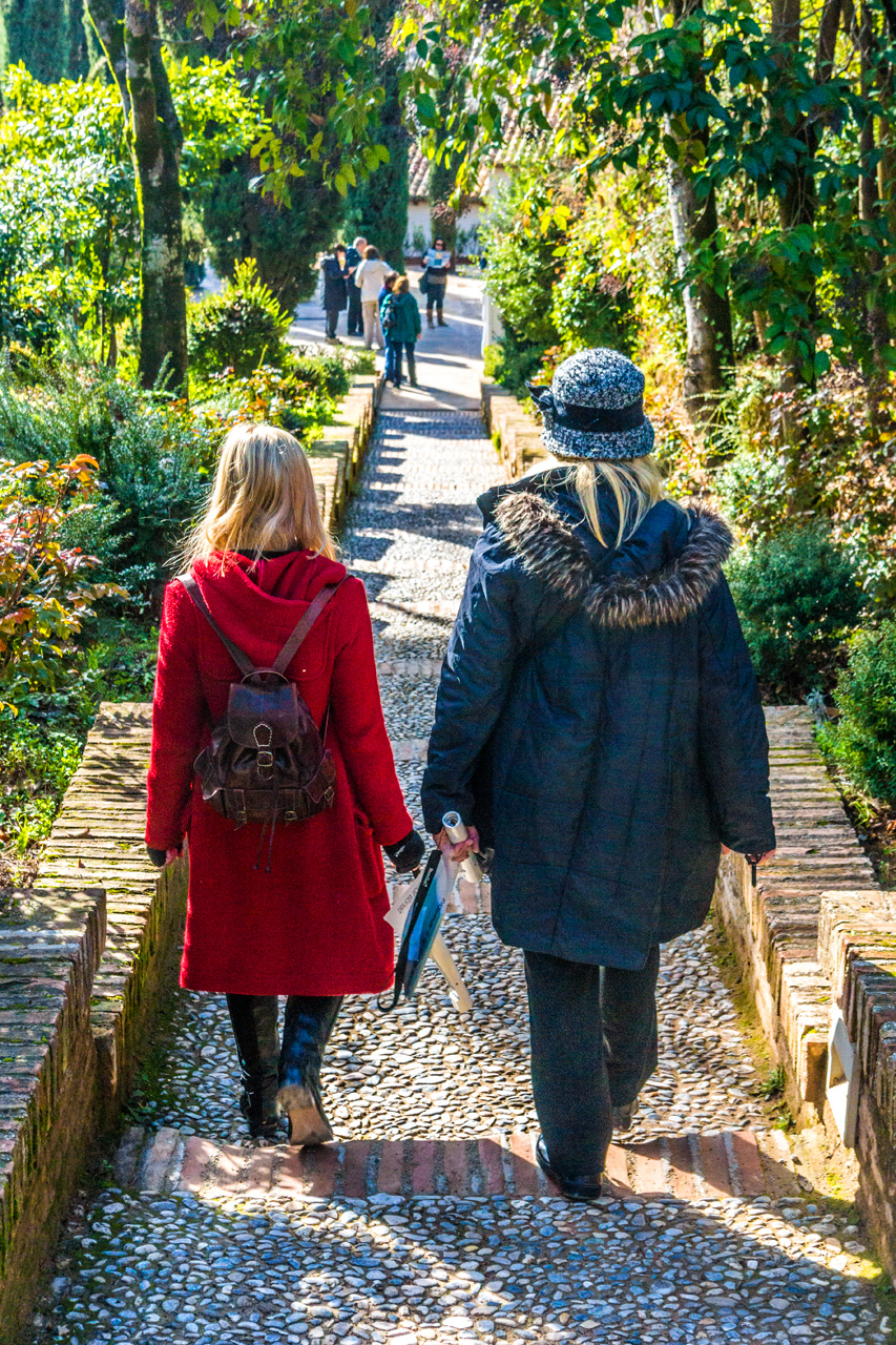 Al Hambra and Granada 7972