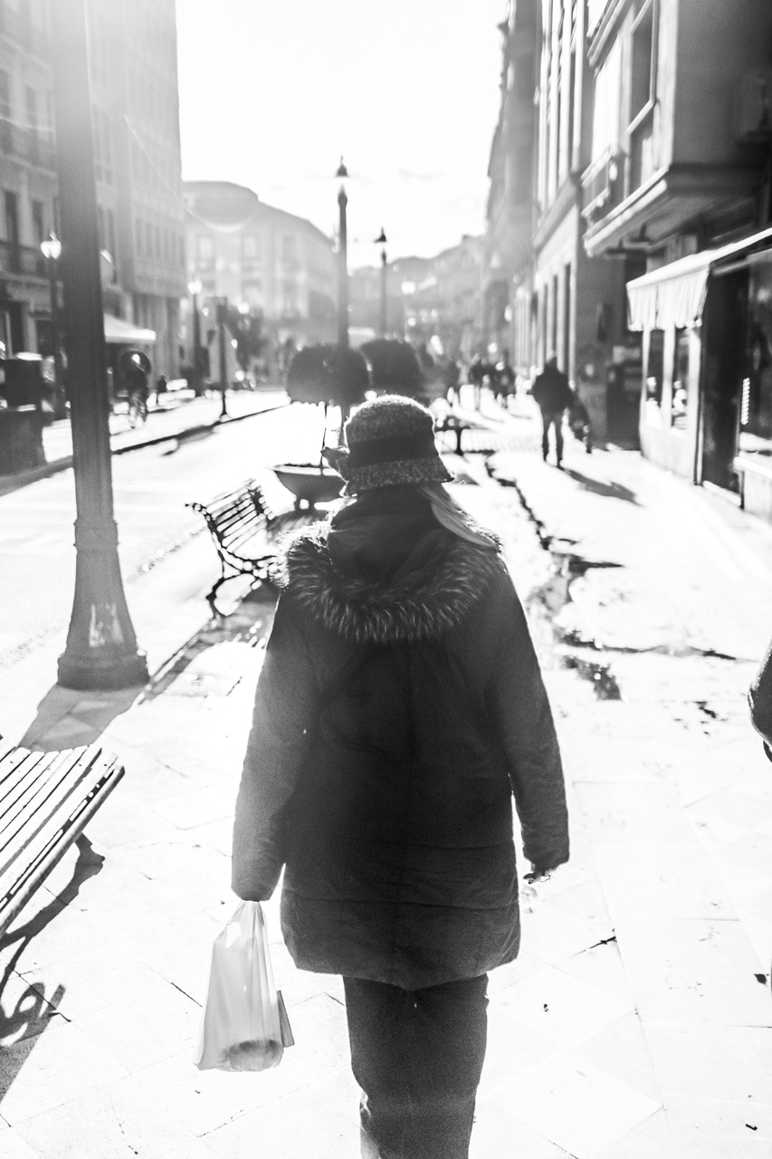 Al Hambra and Granada 8007