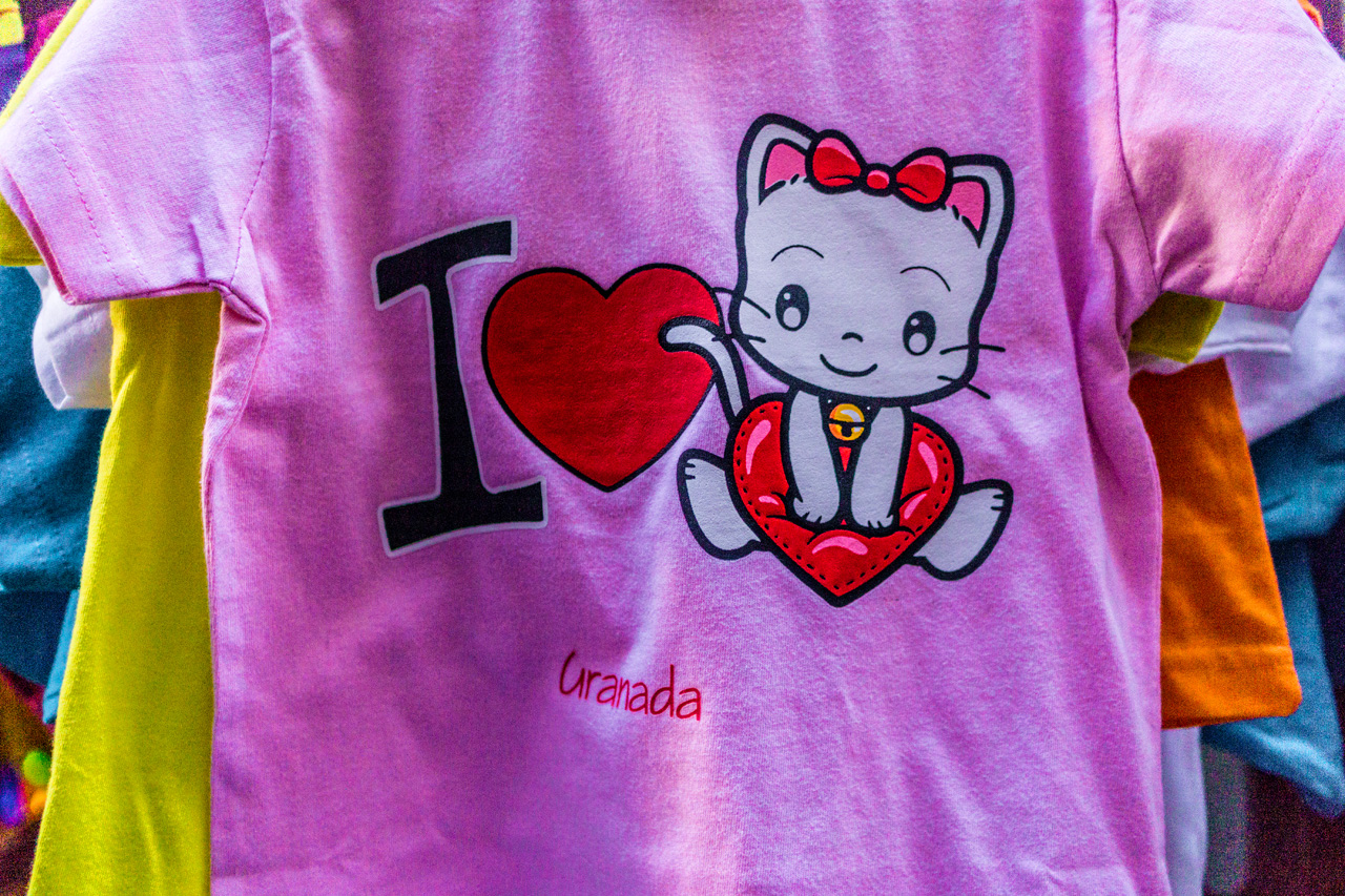 Al Hambra and Granada 8025