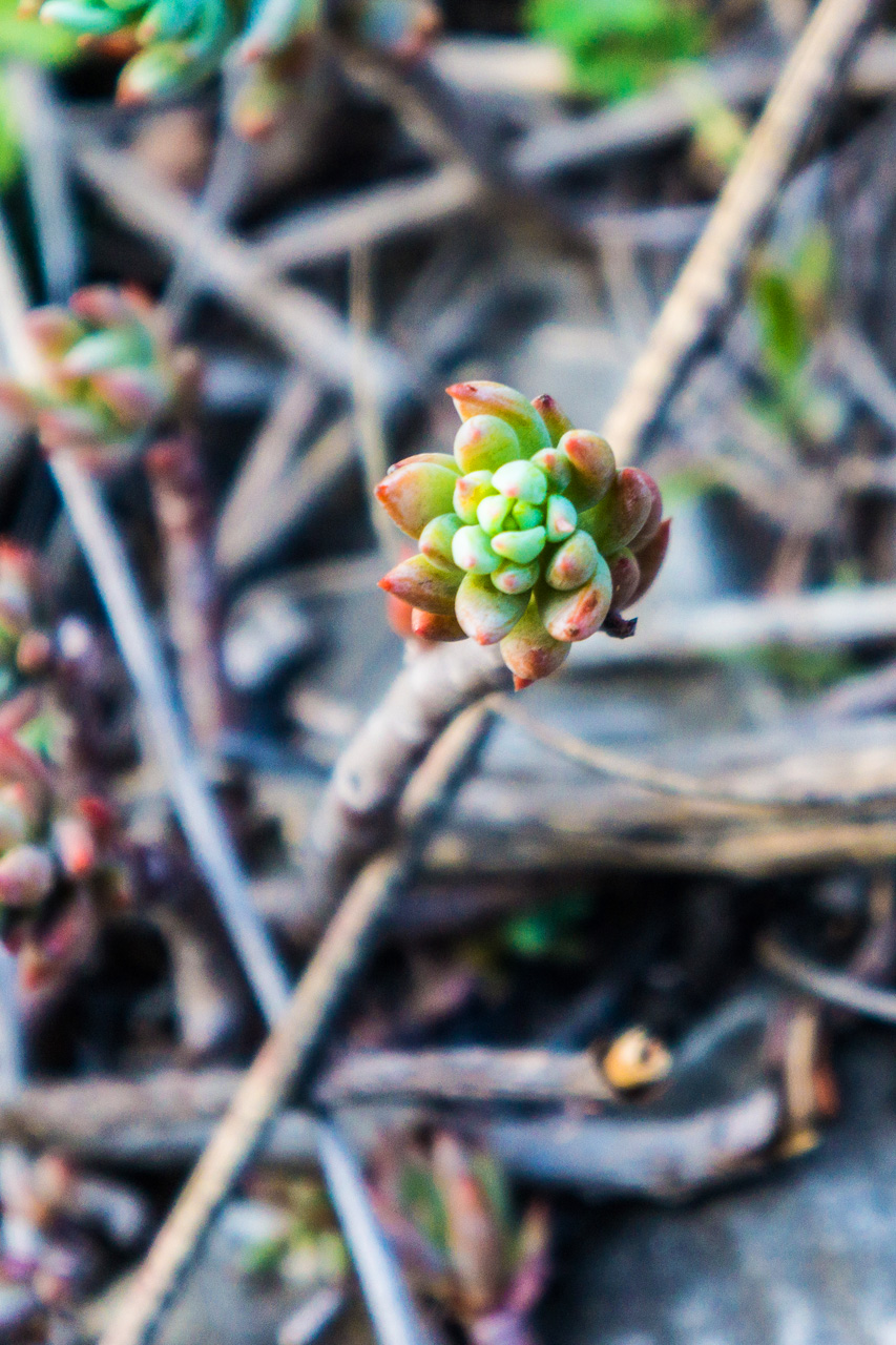 Nerja and La Herradura 8183