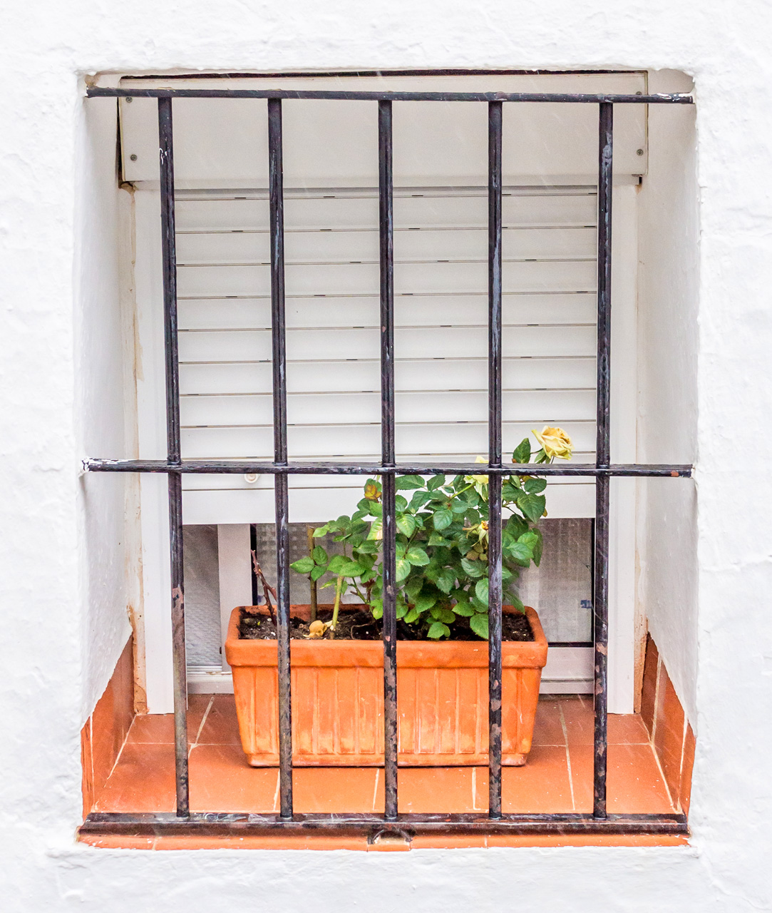 Arcos De La Frontera  6