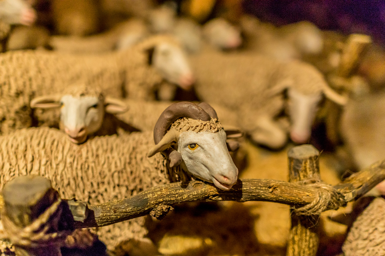 Arcos De La Frontera 9050