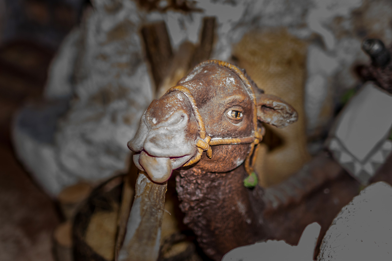 Arcos De La Frontera 9053