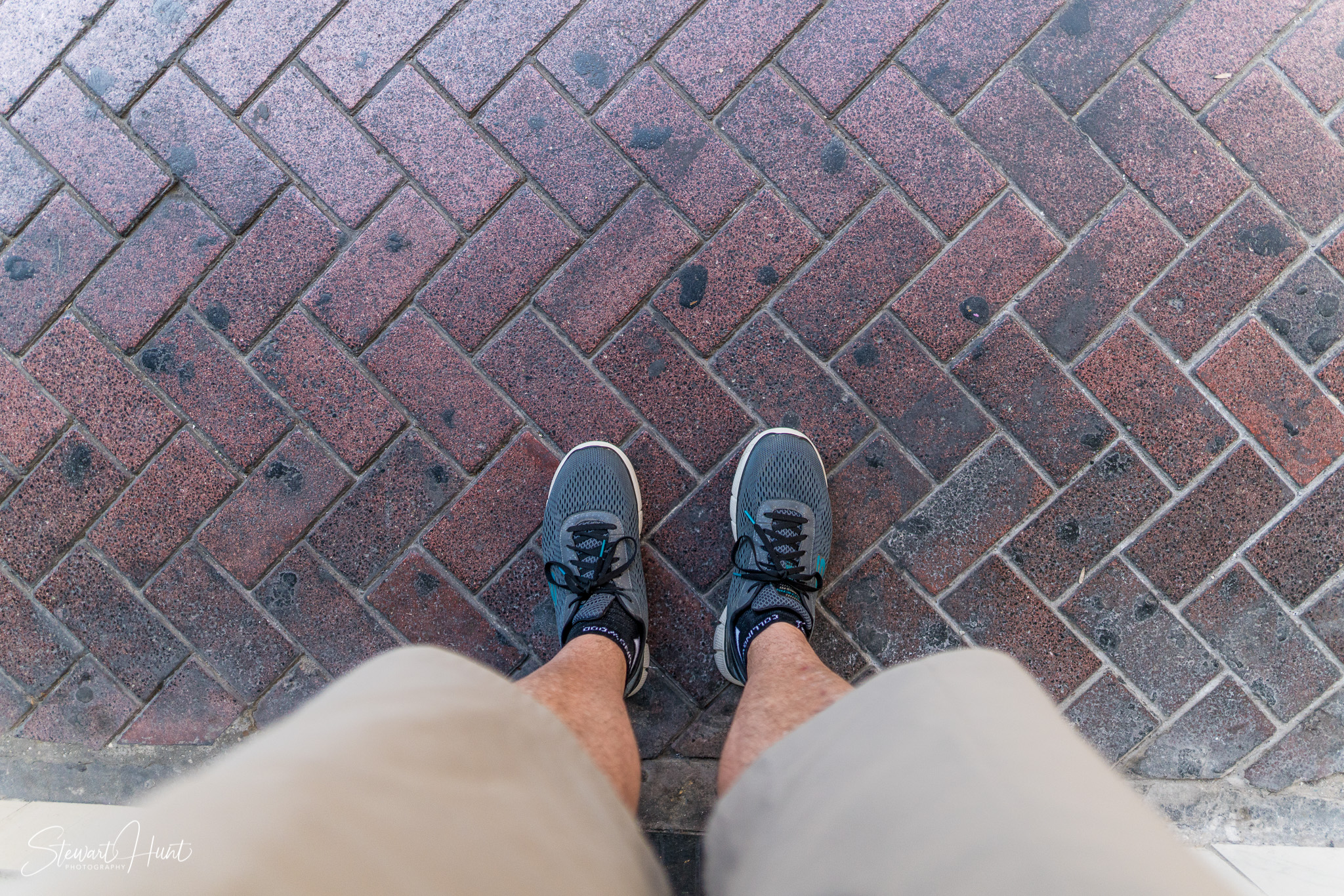 Souq Tree of Life Budaiya 5551