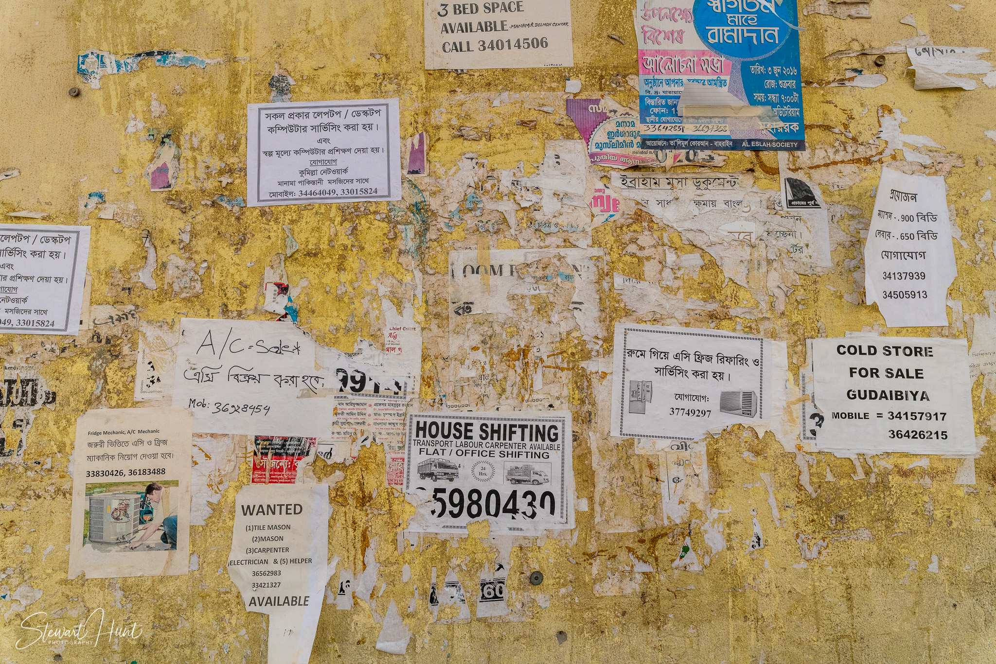 Souq Tree of Life Budaiya 5577