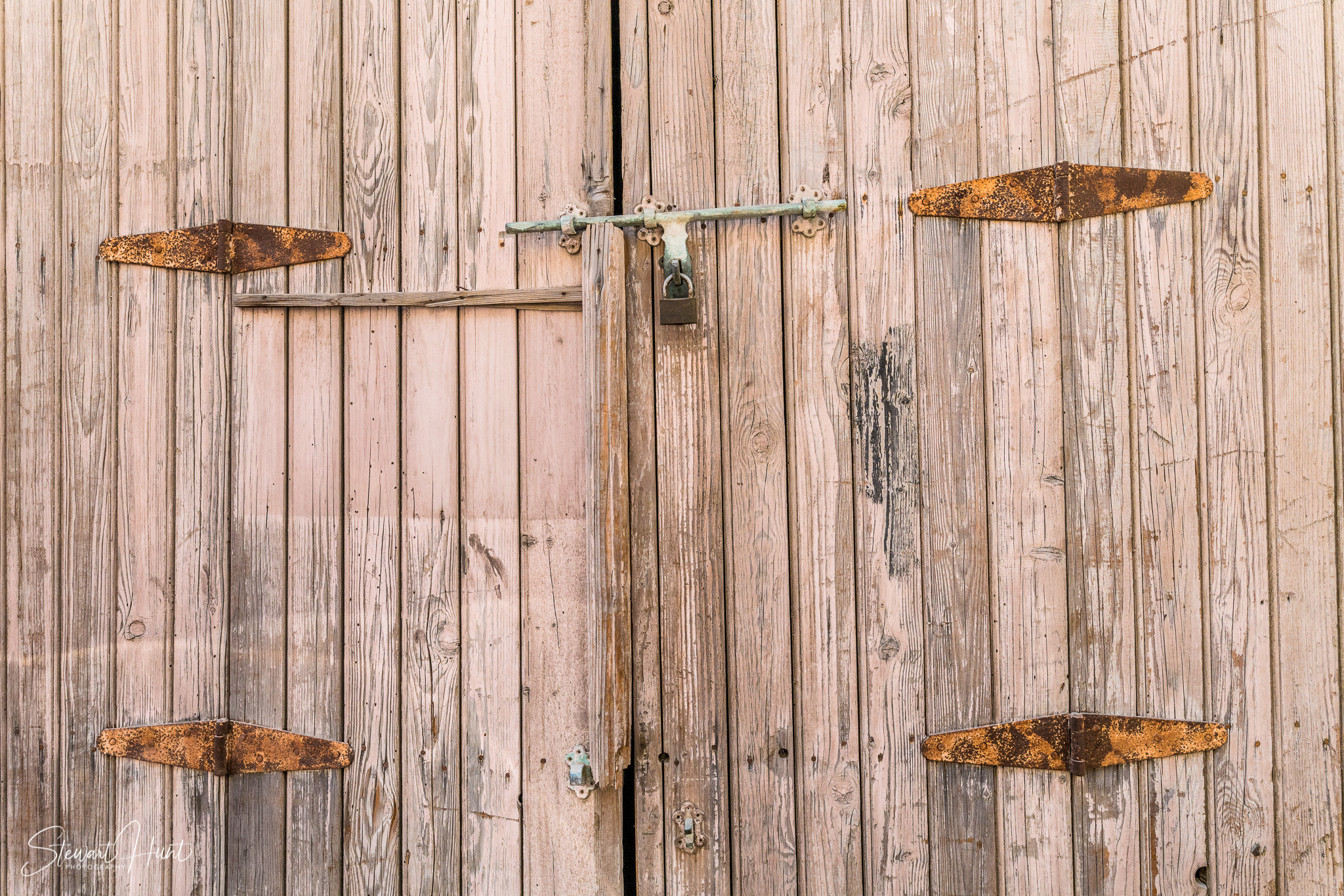 Souq Tree of Life Budaiya 5581