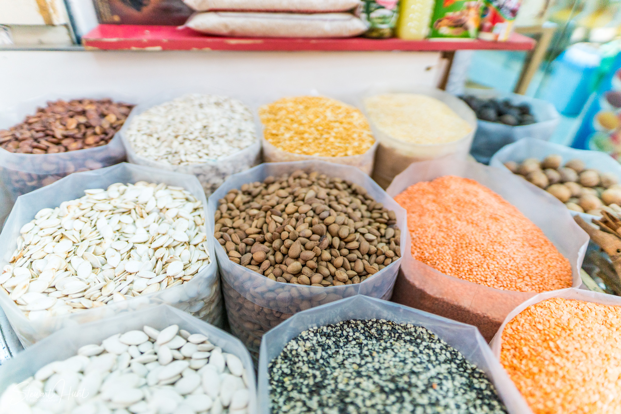 Souq Tree of Life Budaiya 5588