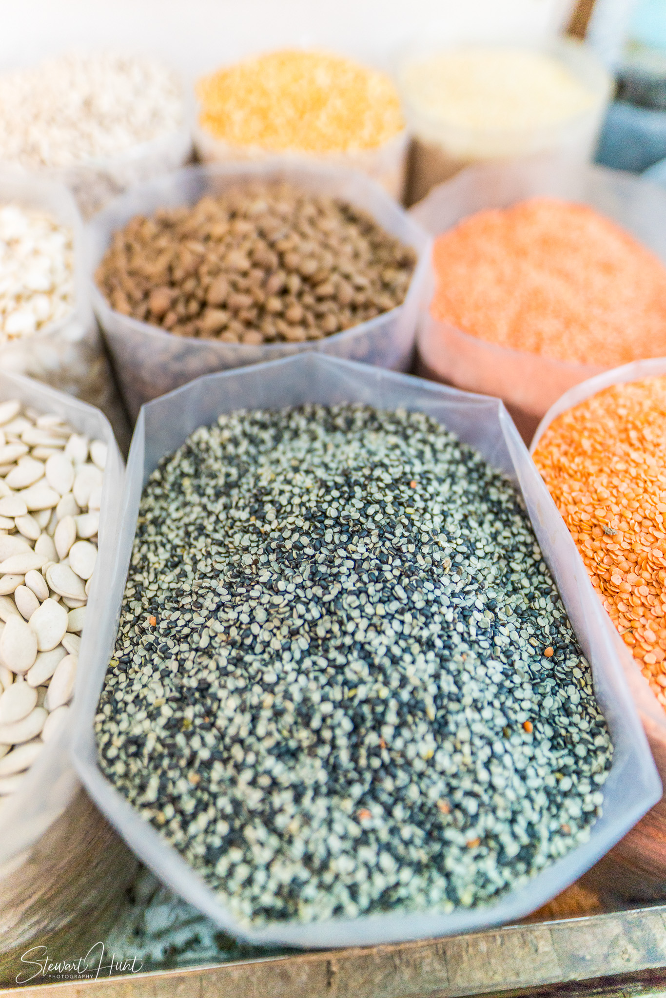 Souq Tree of Life Budaiya 5589