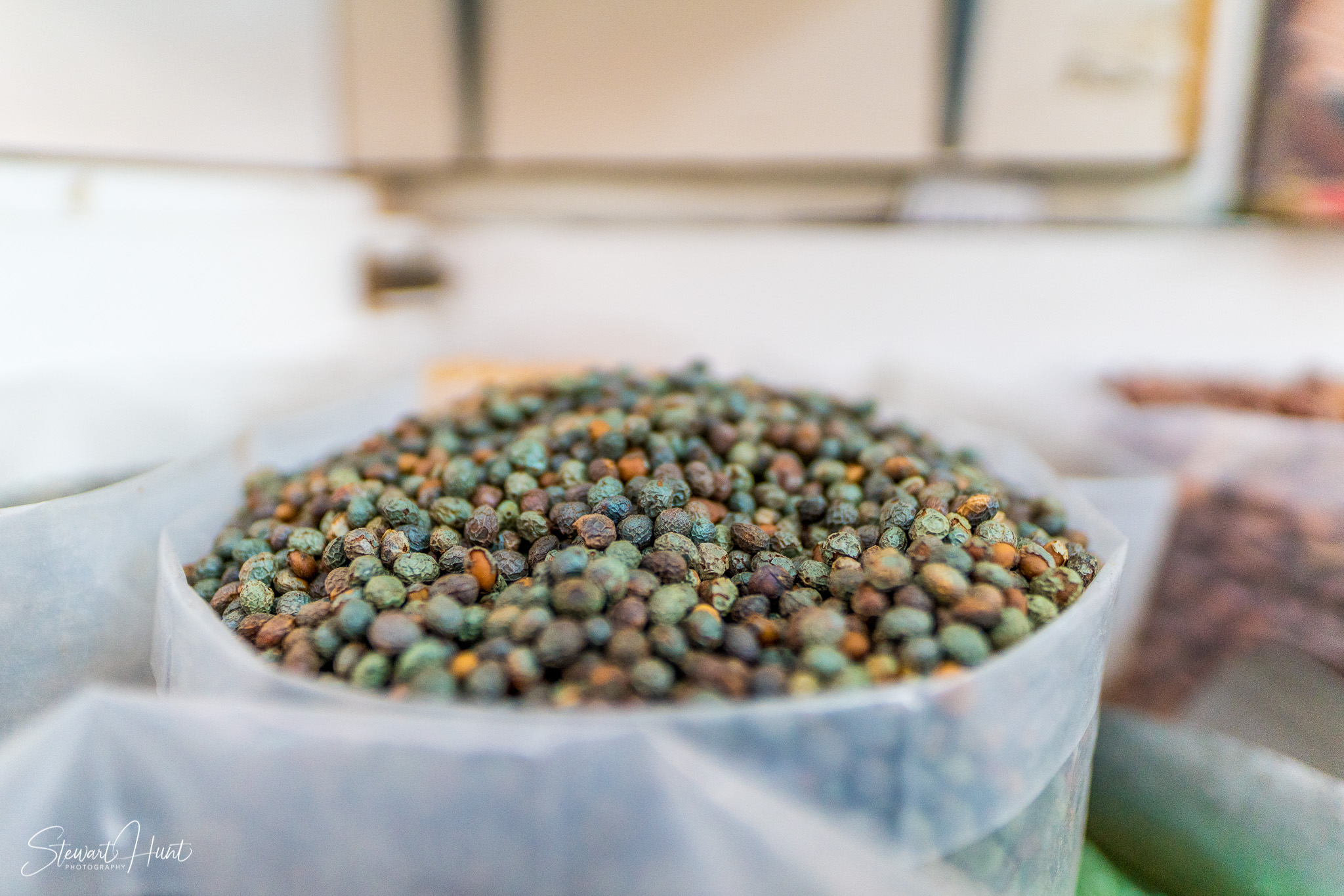 Souq Tree of Life Budaiya 5590