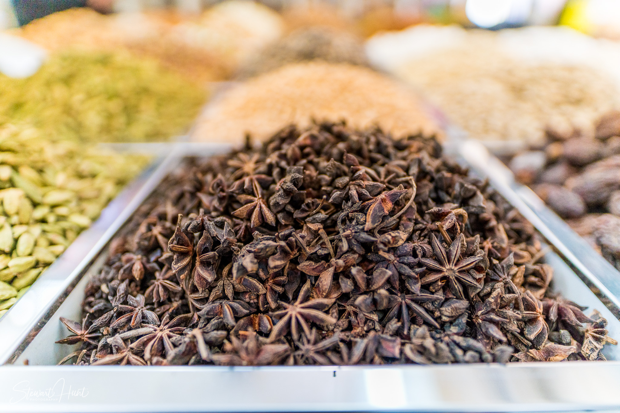 Souq Tree of Life Budaiya 5594