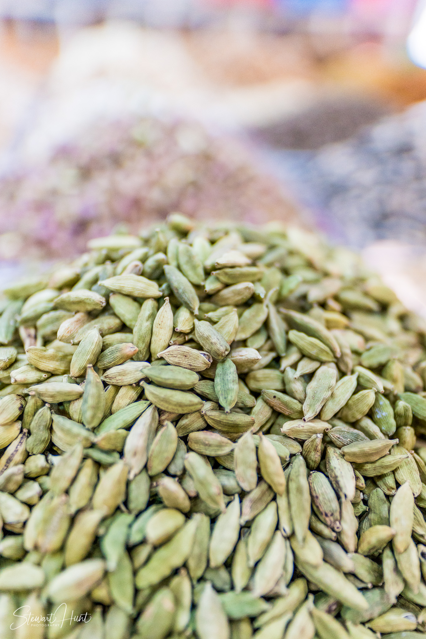 Souq Tree of Life Budaiya 5595