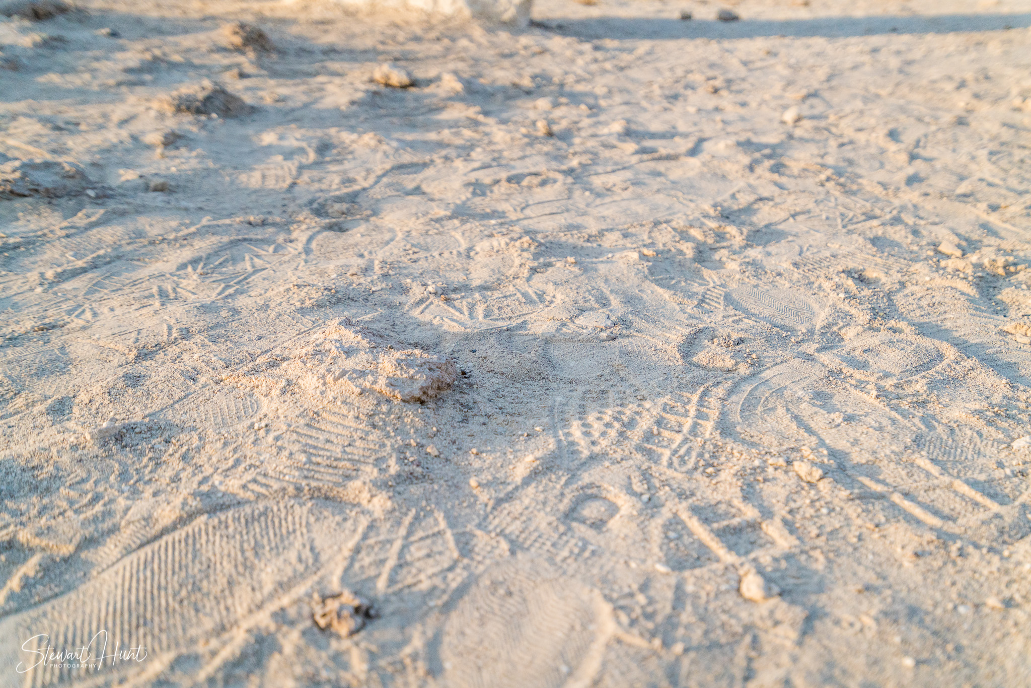 Souq Tree of Life Budaiya 5610