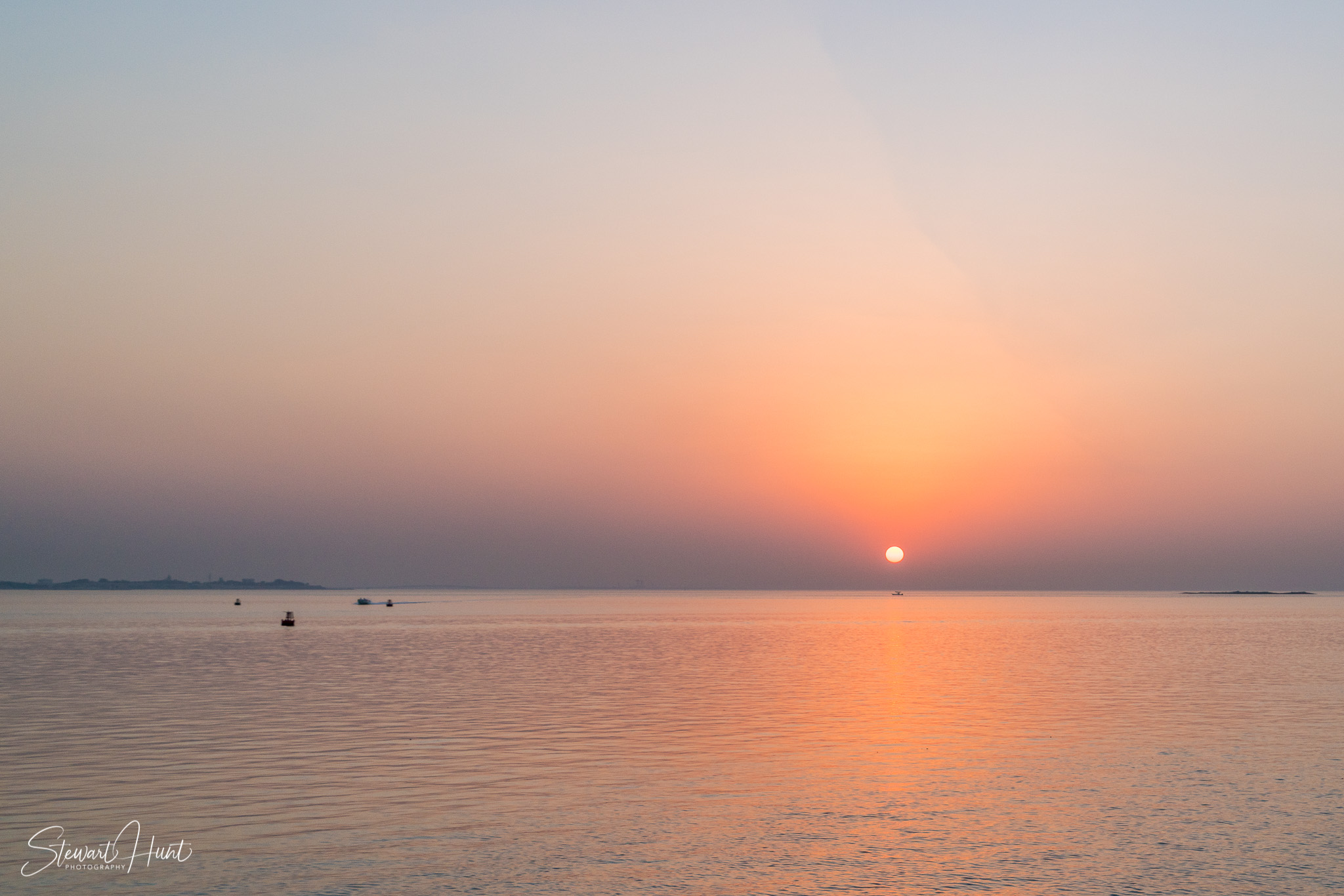 Souq Tree of Life Budaiya 5633