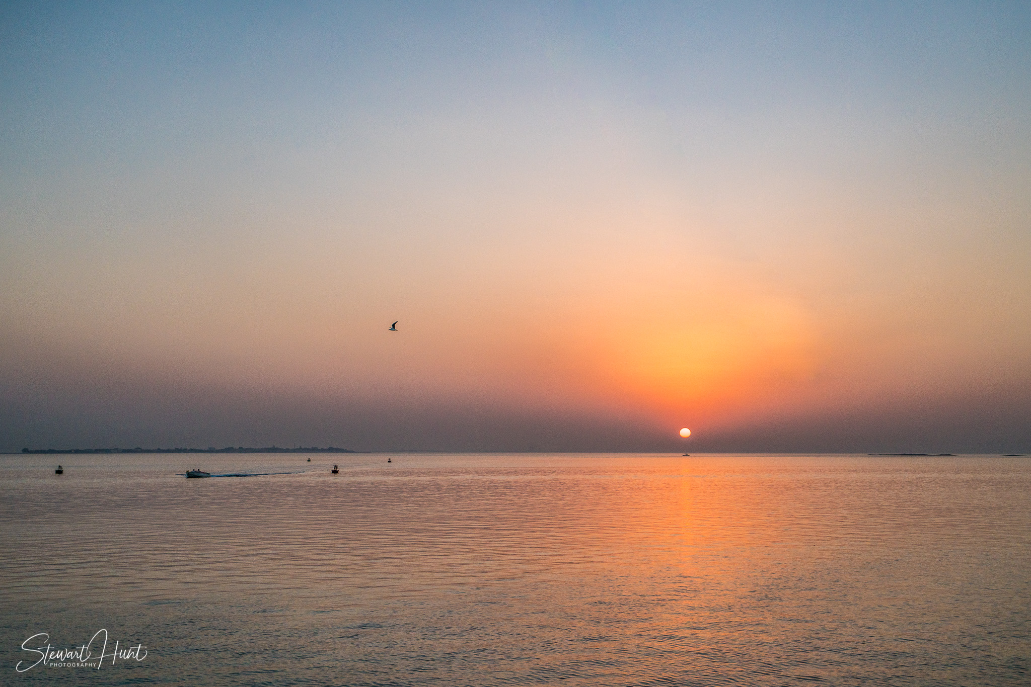 Souq Tree of Life Budaiya 5635