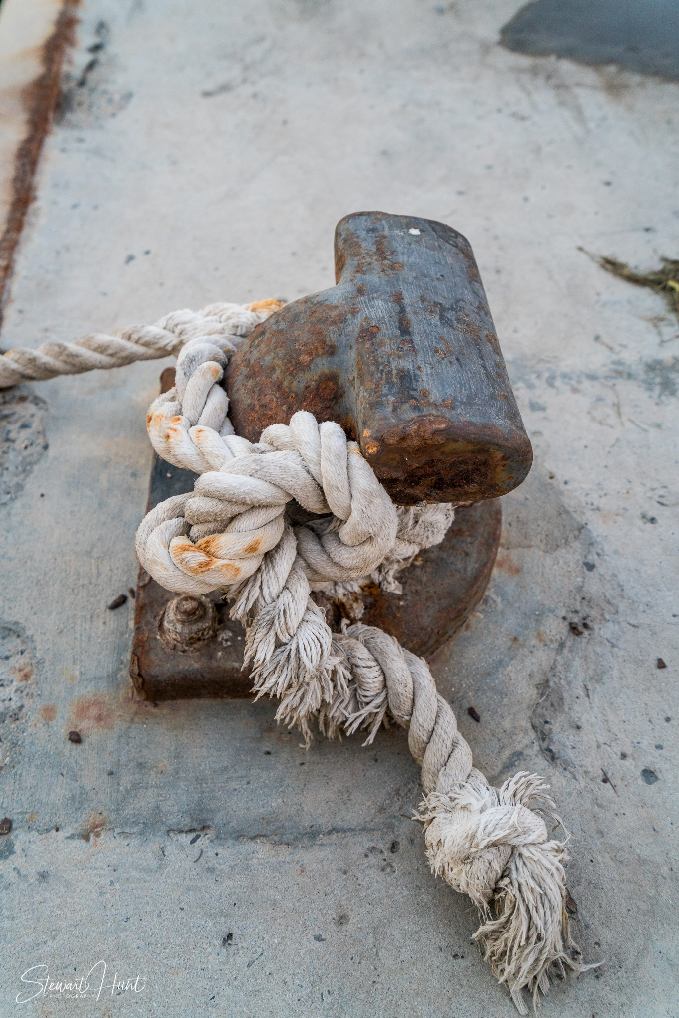 Souq Tree of Life Budaiya 5660