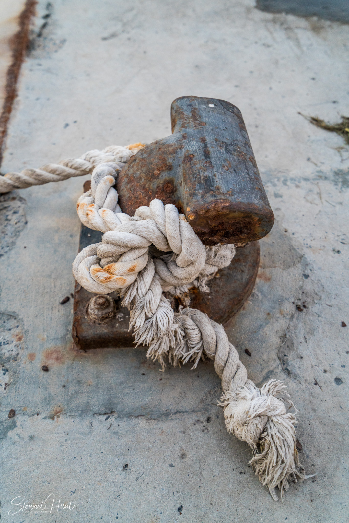 Souq Tree of Life Budaiya 5661