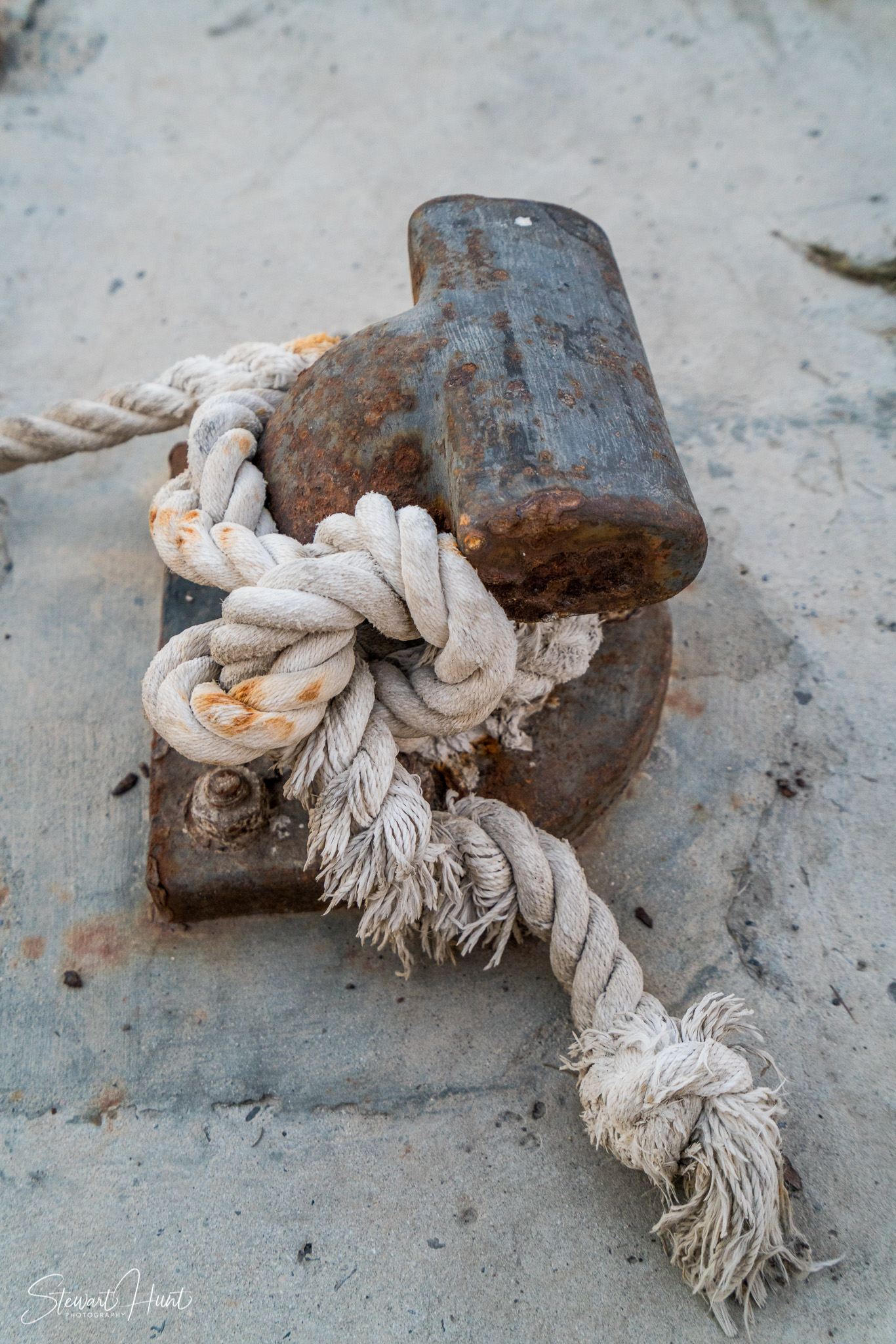 Souq Tree of Life Budaiya 5662