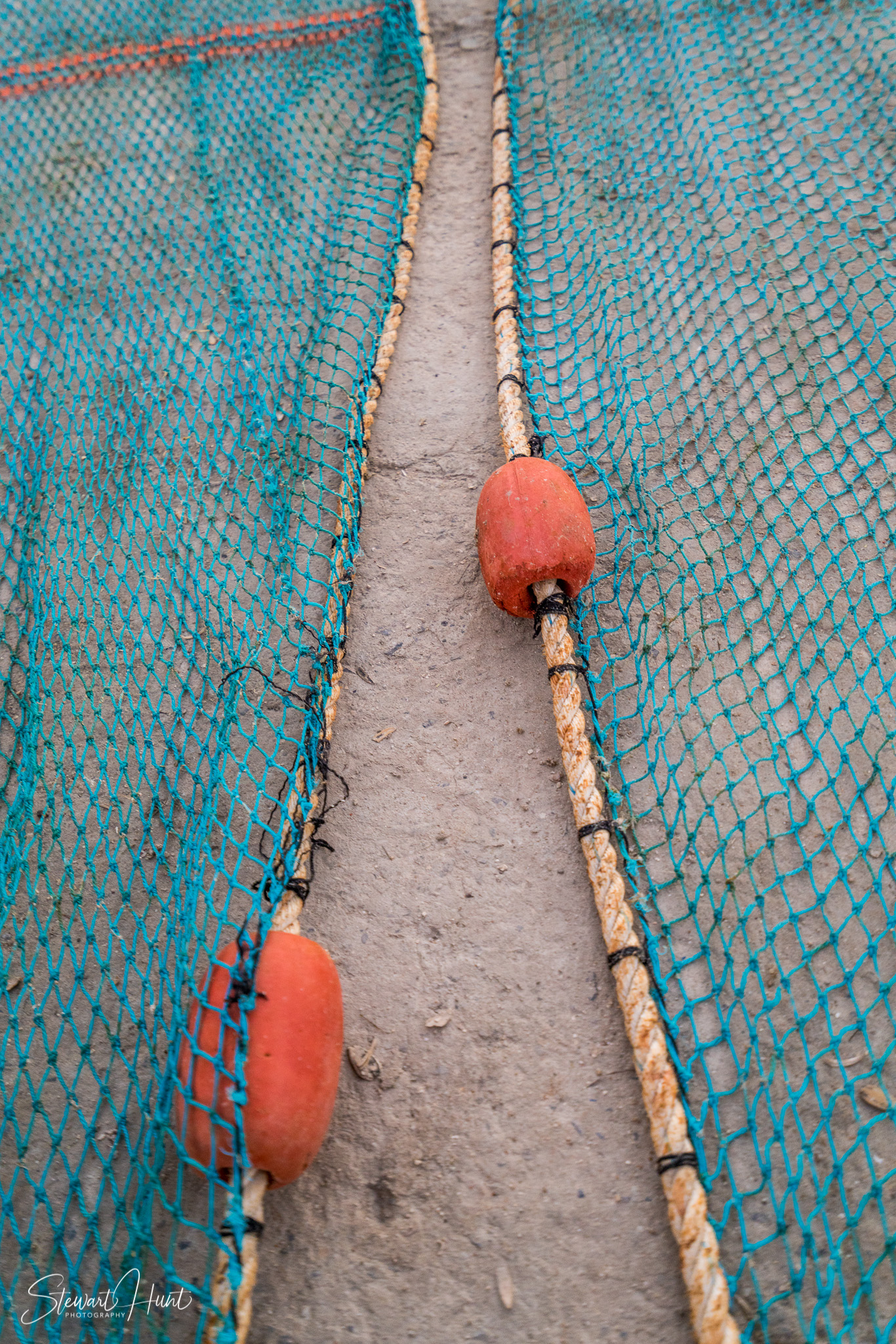 Souq Tree of Life Budaiya 5663