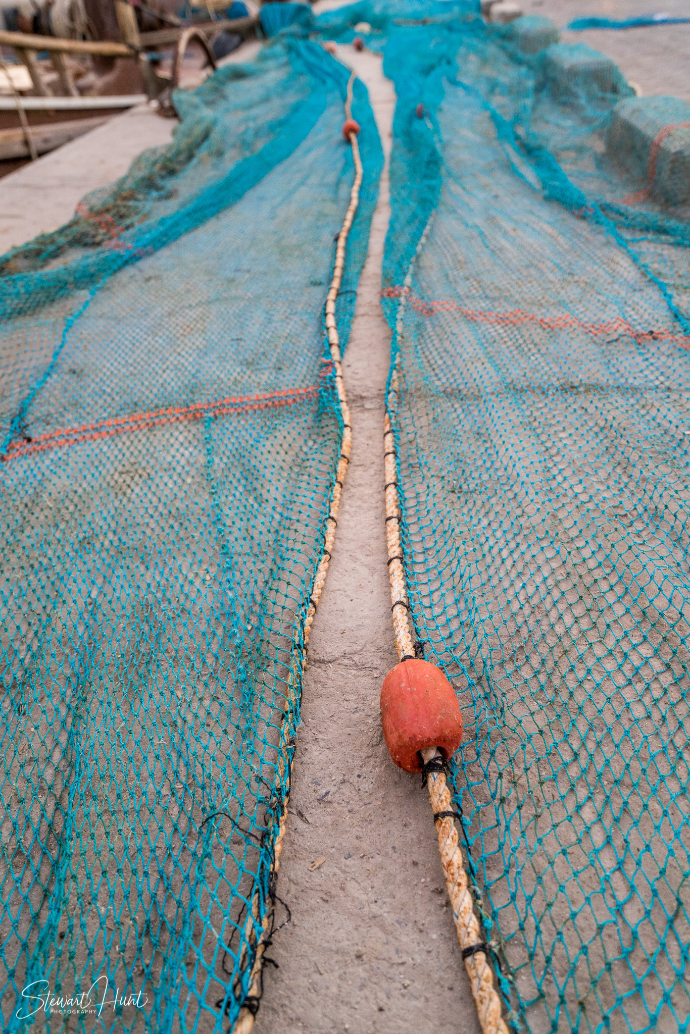 Souq Tree of Life Budaiya 5664