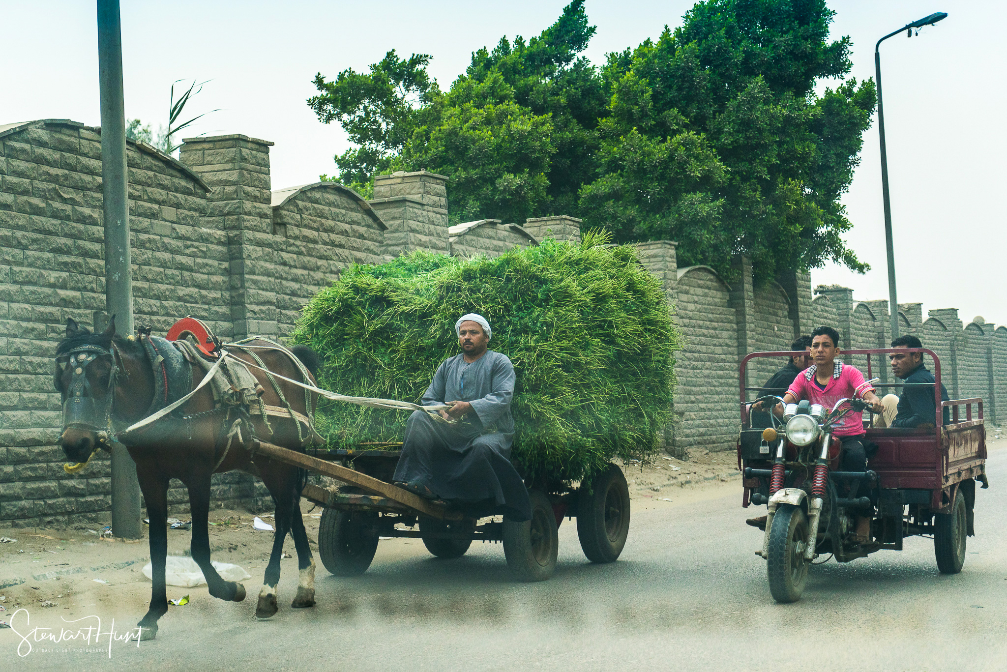 Cairo 20140516 03073