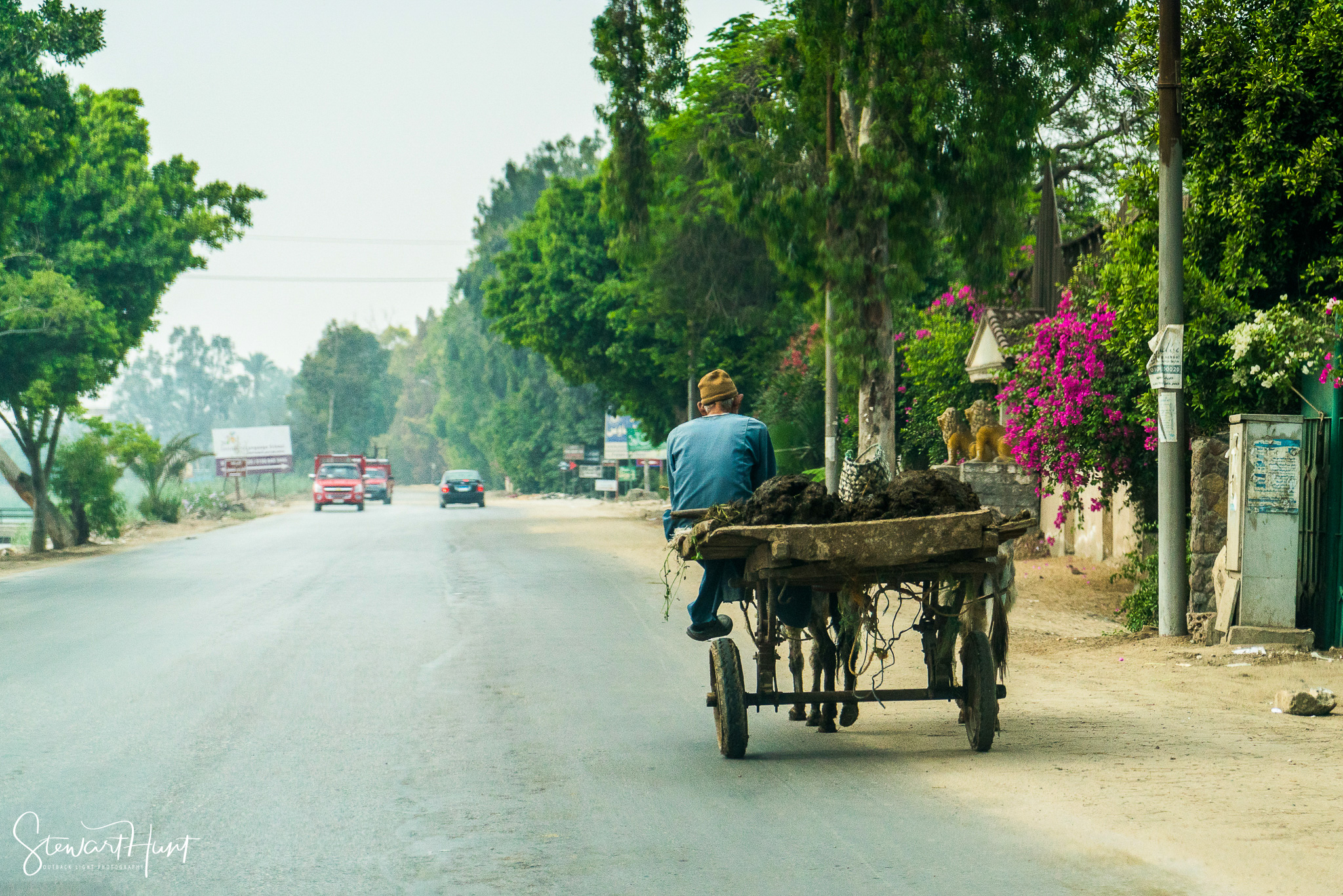 Cairo 20140516 03074