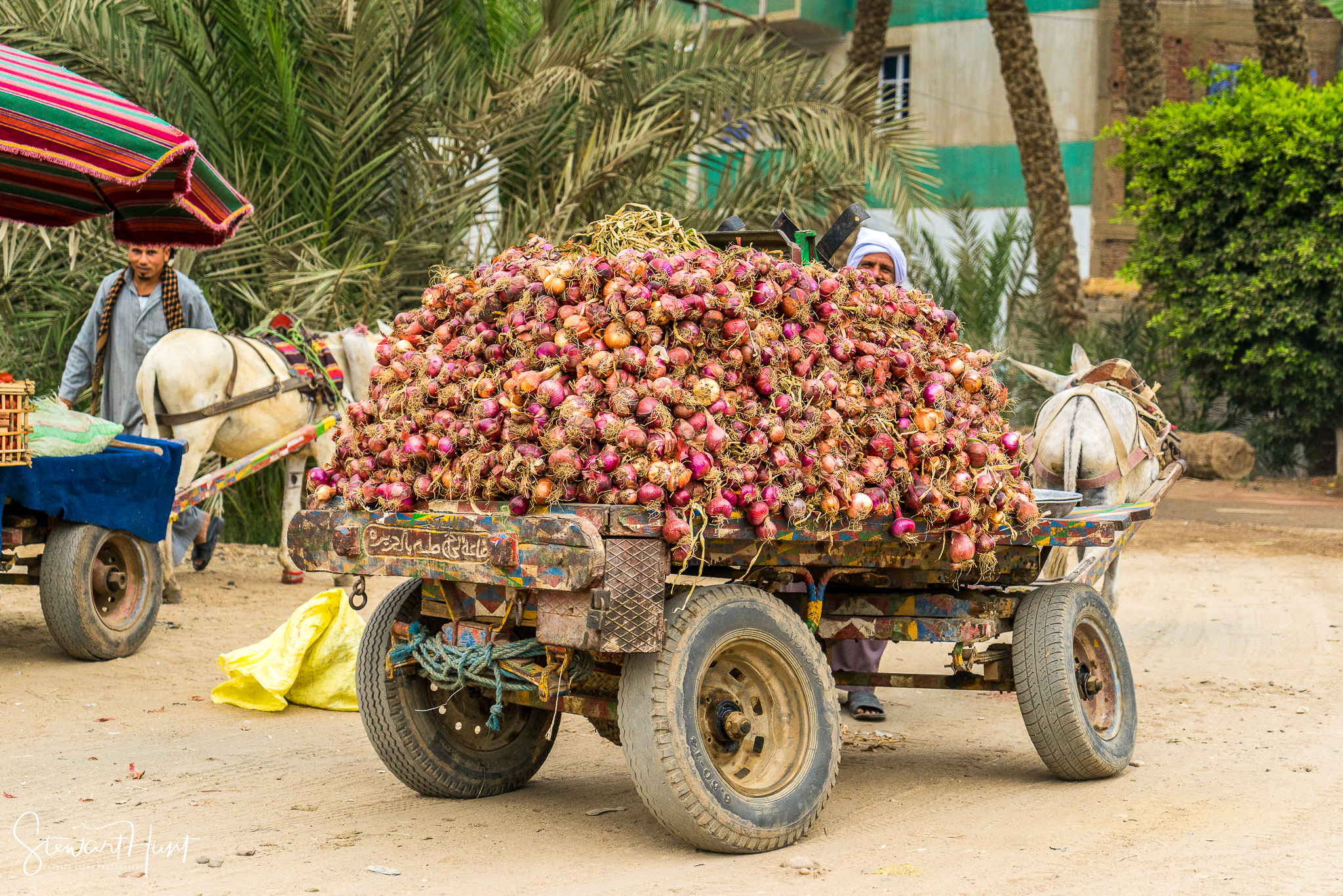 Cairo 20140516 03077