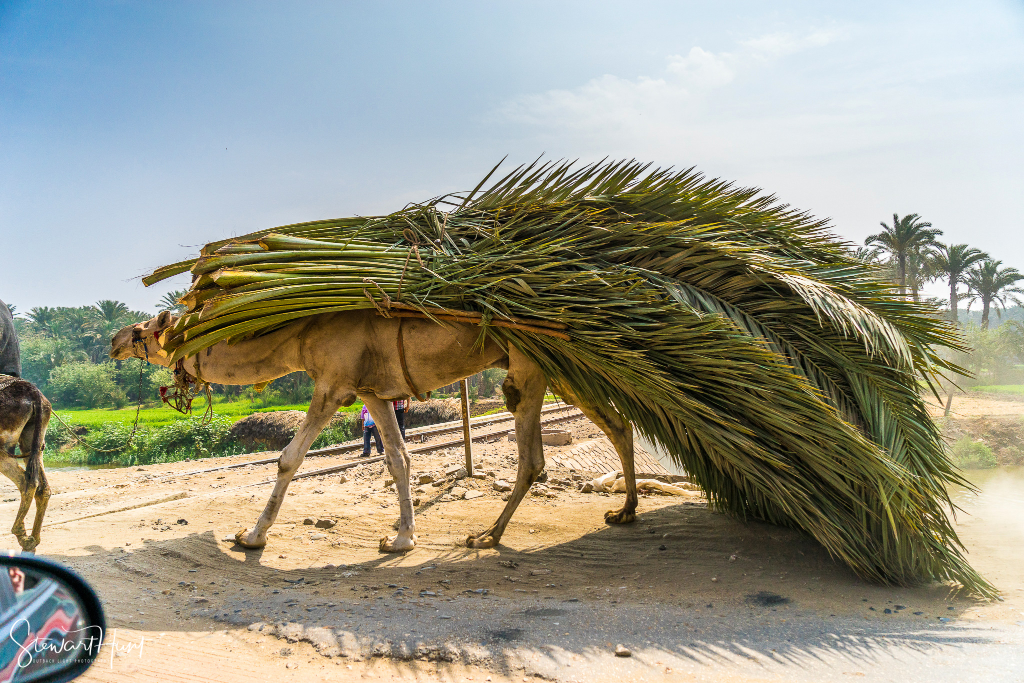 Cairo 20140516 03130