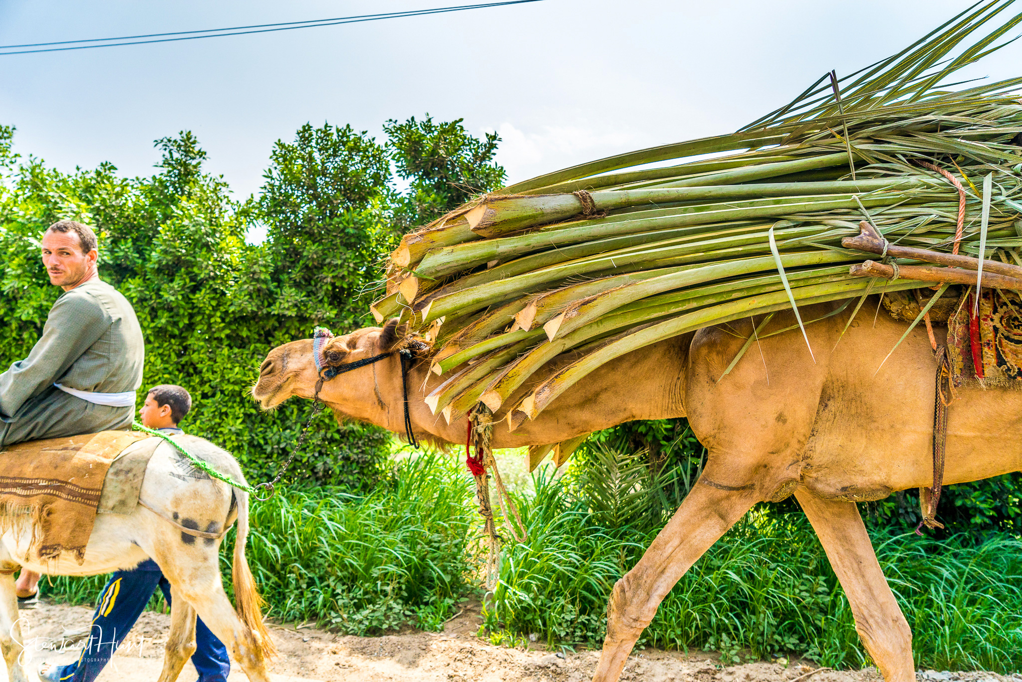 Cairo 20140516 03132
