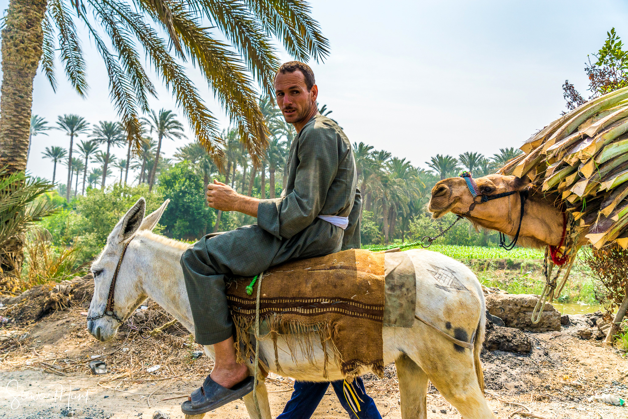 Cairo 20140516 03134