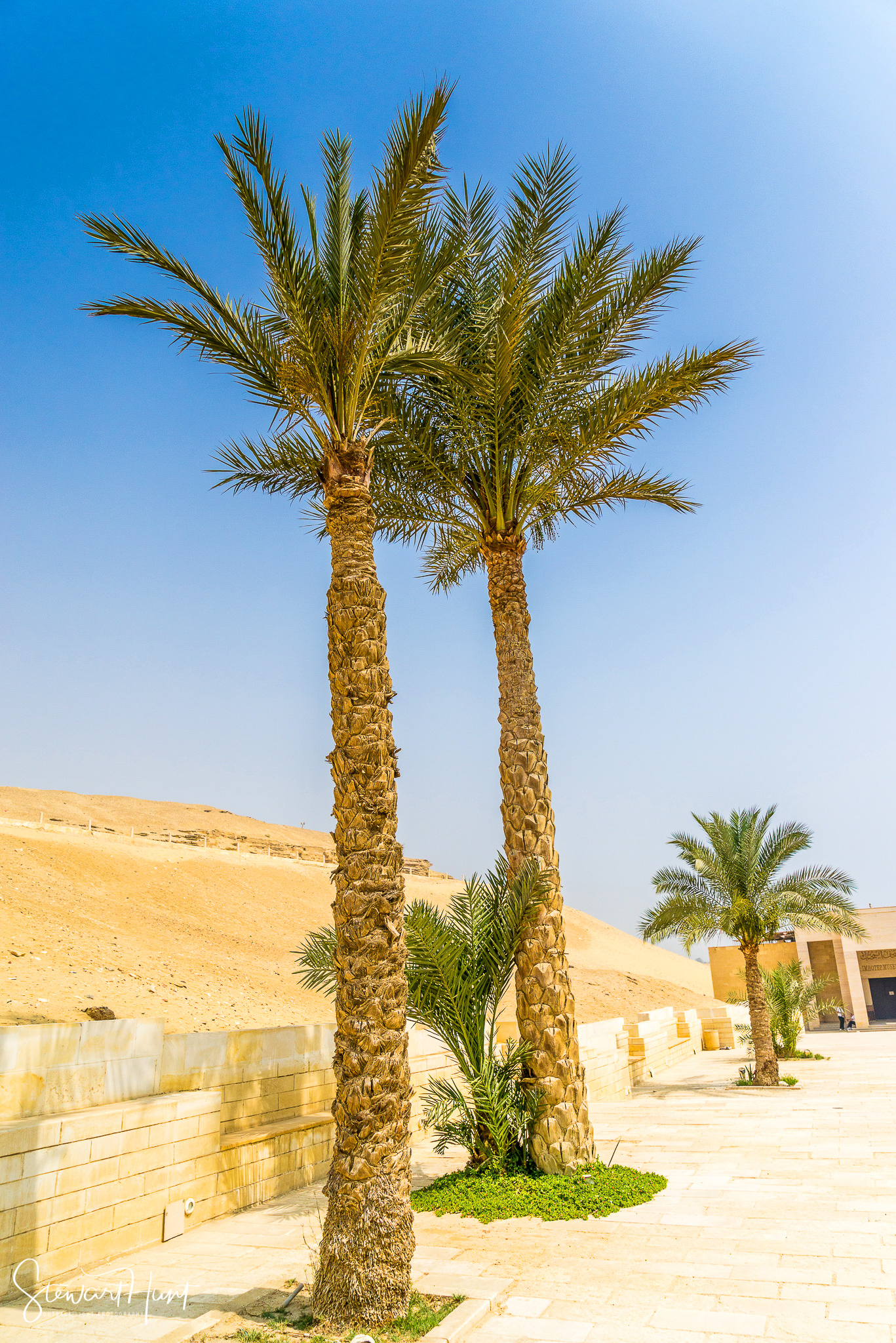 Cairo 20140516 03136