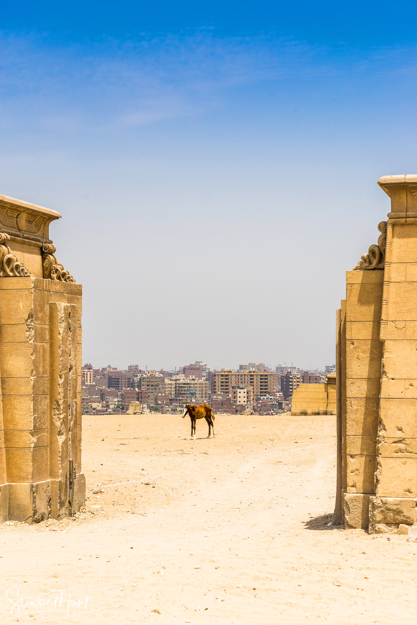 Cairo 20140516 03206