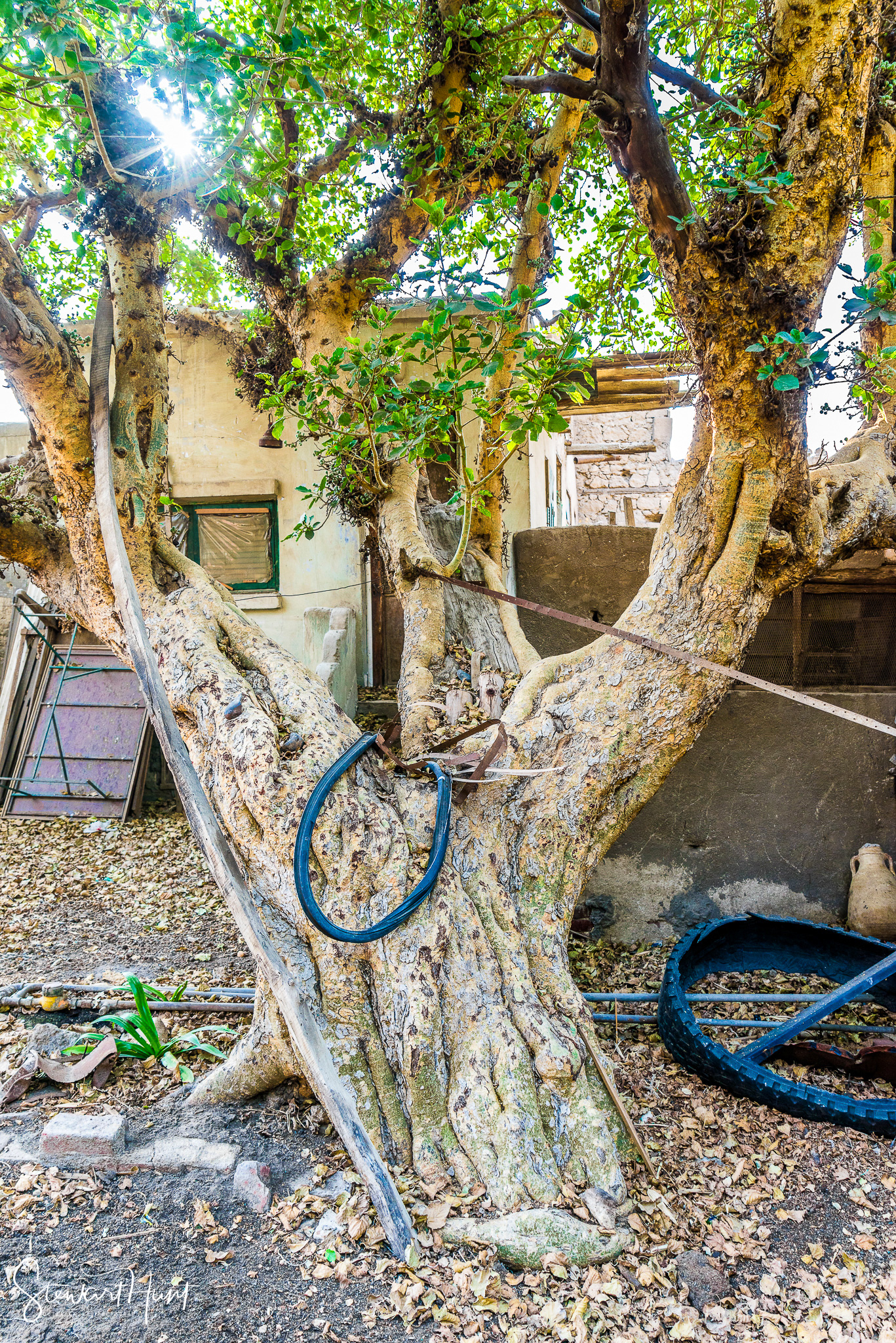 Cairo 20140516 03273