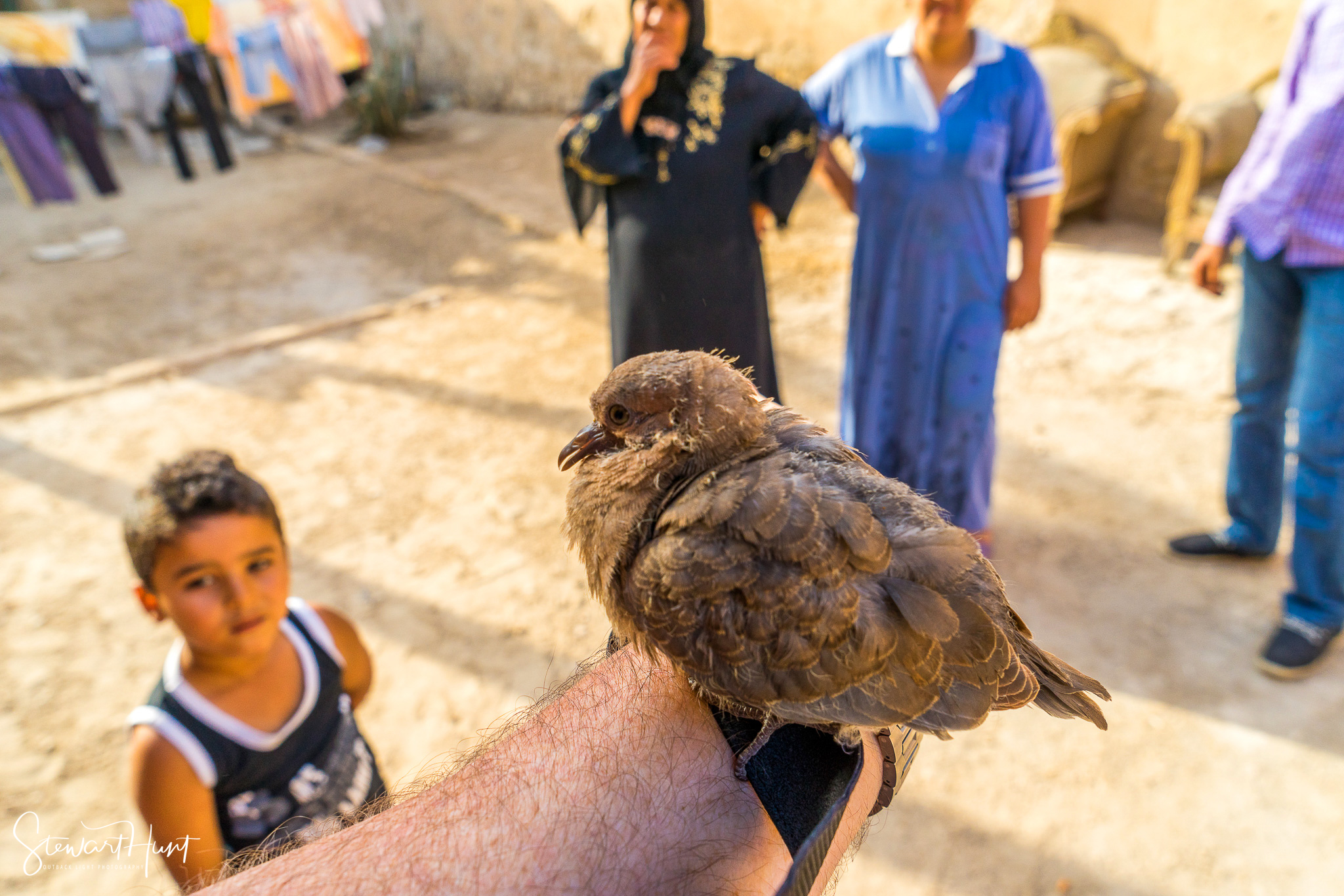 Cairo 20140516 03287
