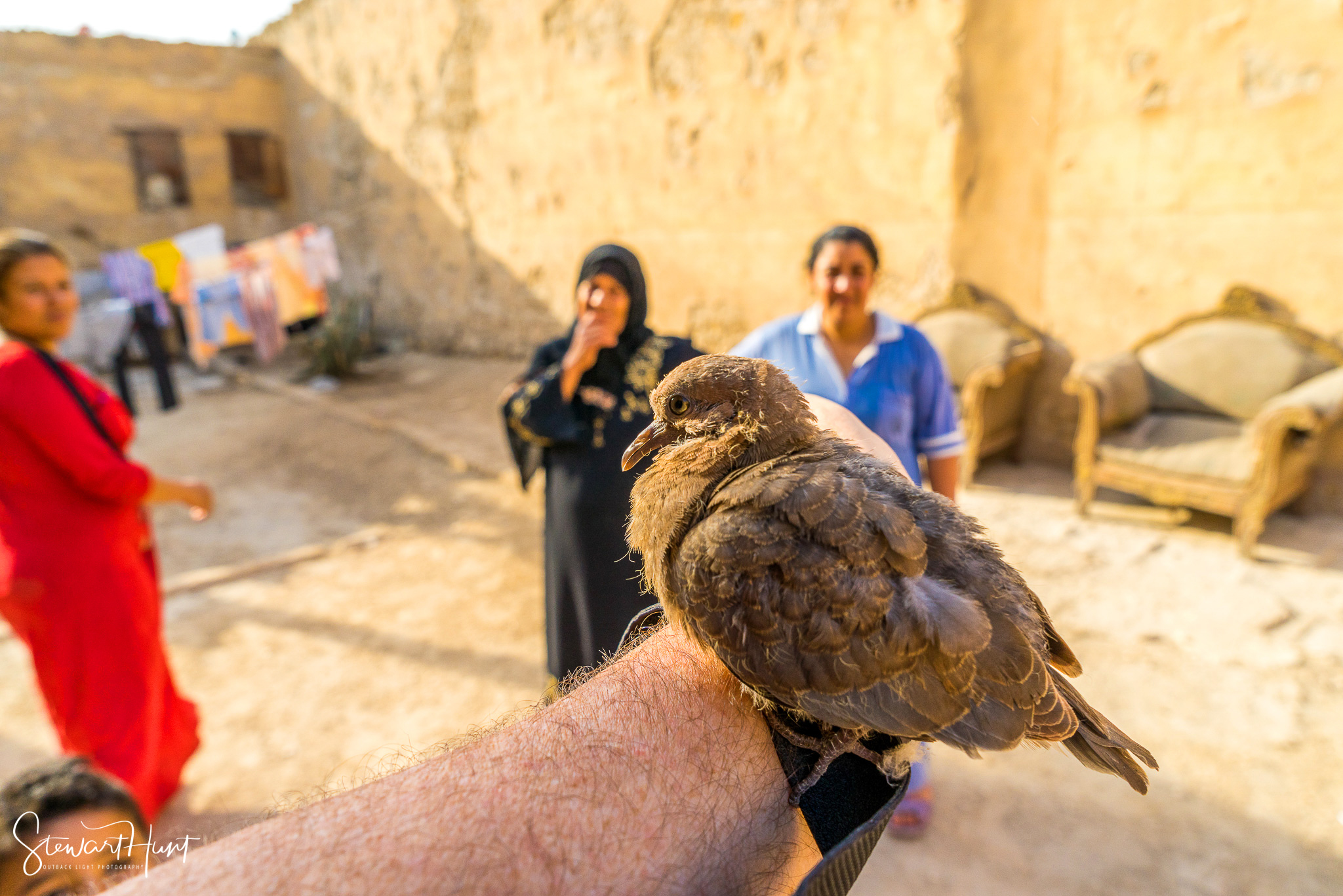 Cairo 20140516 03288