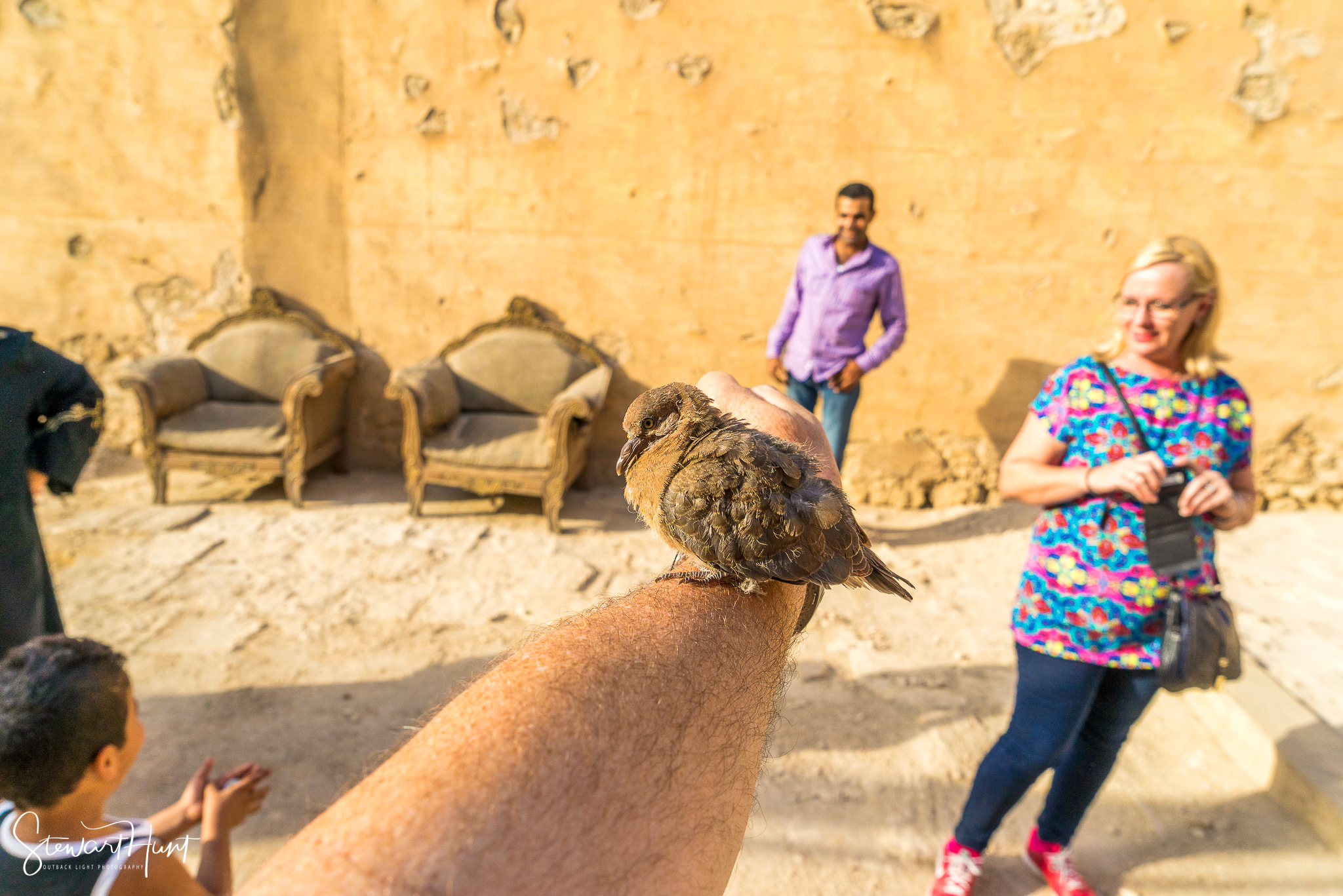 Cairo 20140516 03289