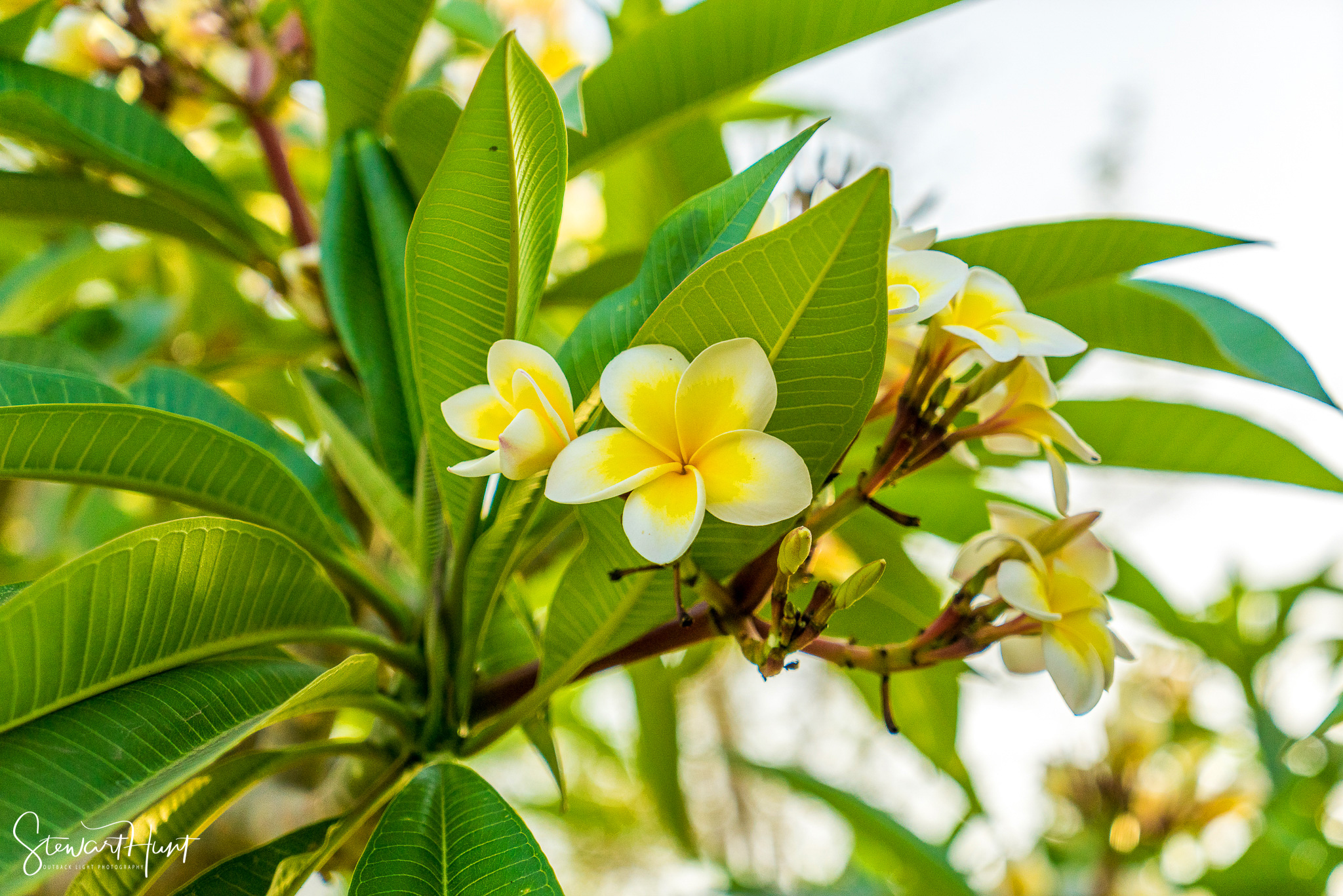 Cairo 20140516 03318