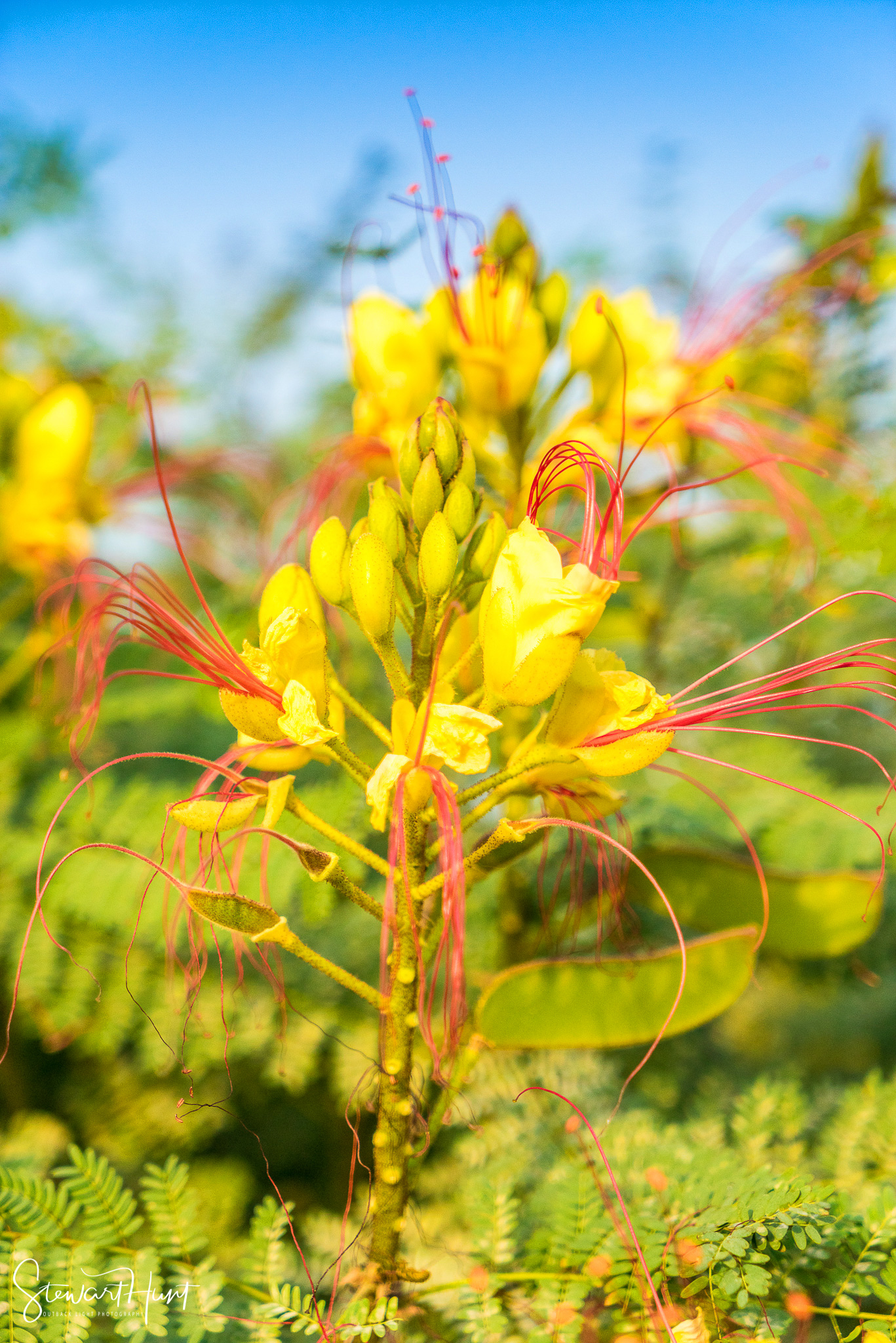 Cairo 20140516 03332