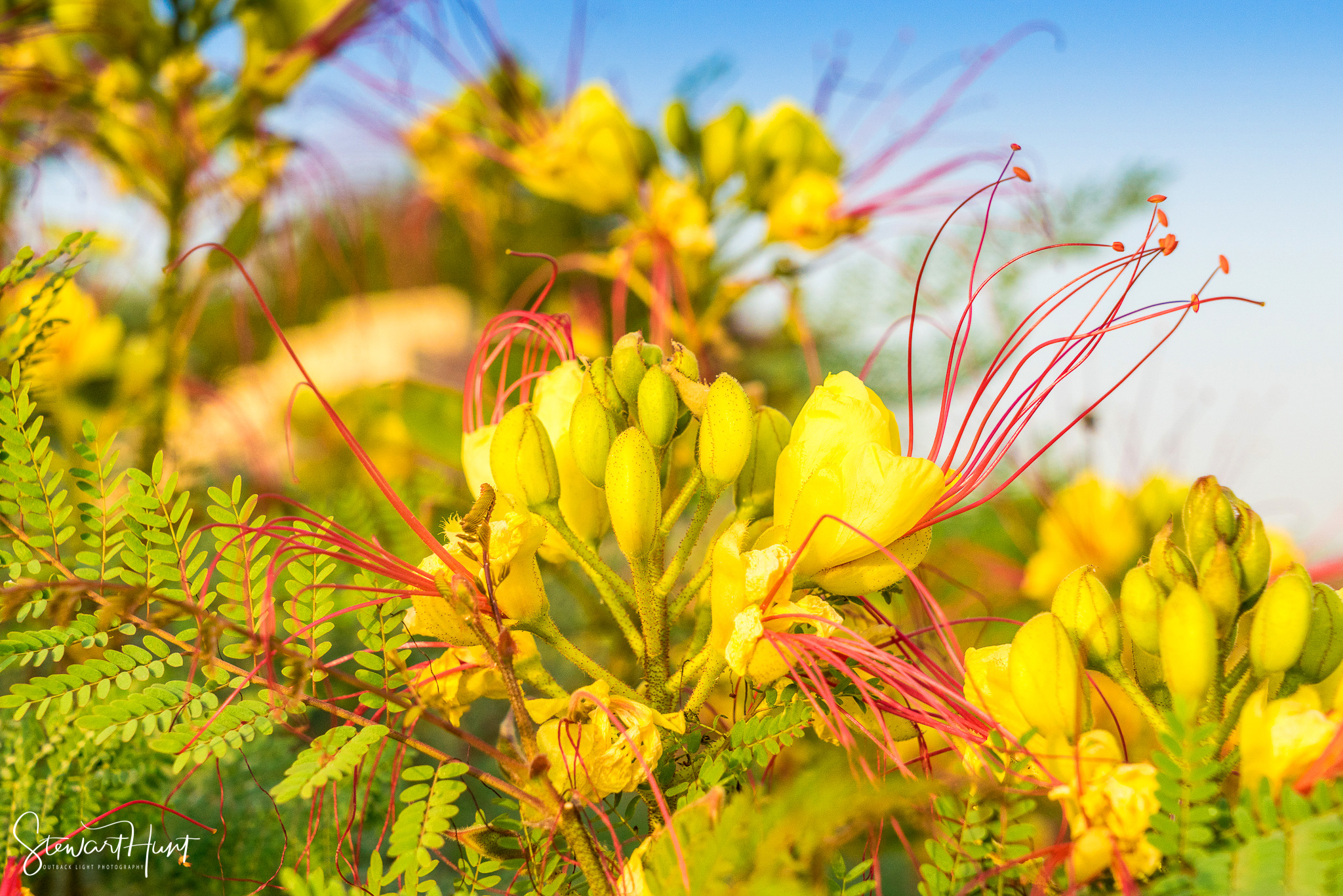 Cairo 20140516 03335