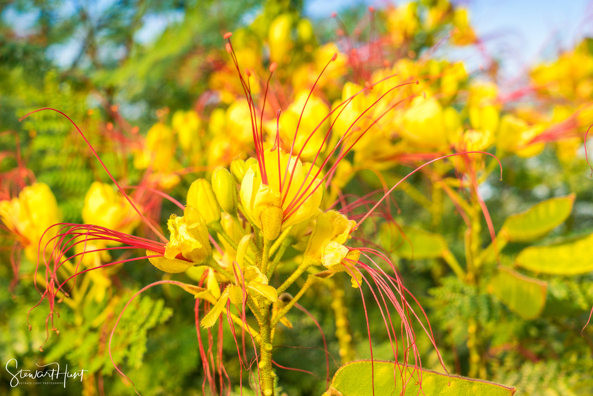 Cairo 20140516 03336