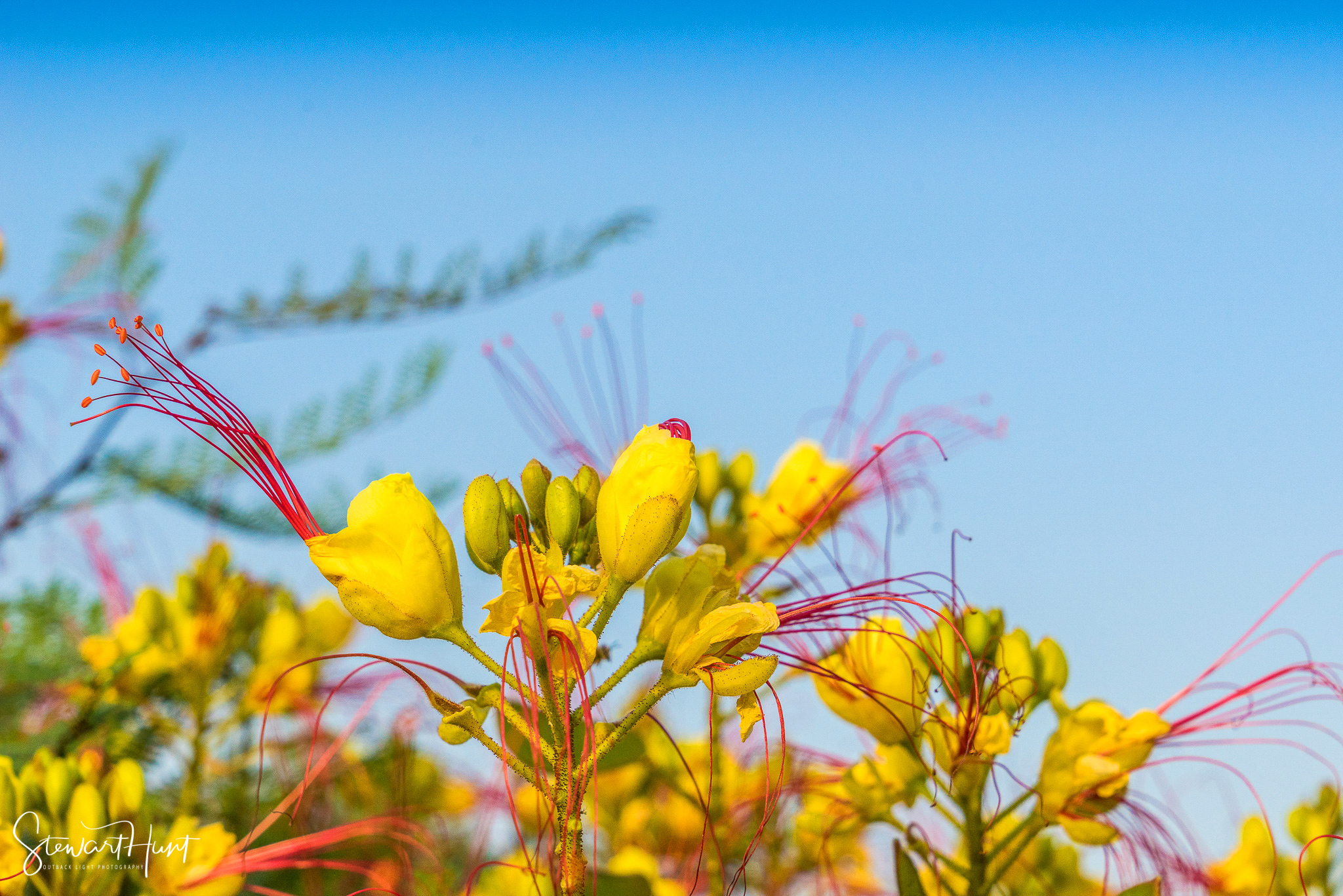 Cairo 20140516 03337