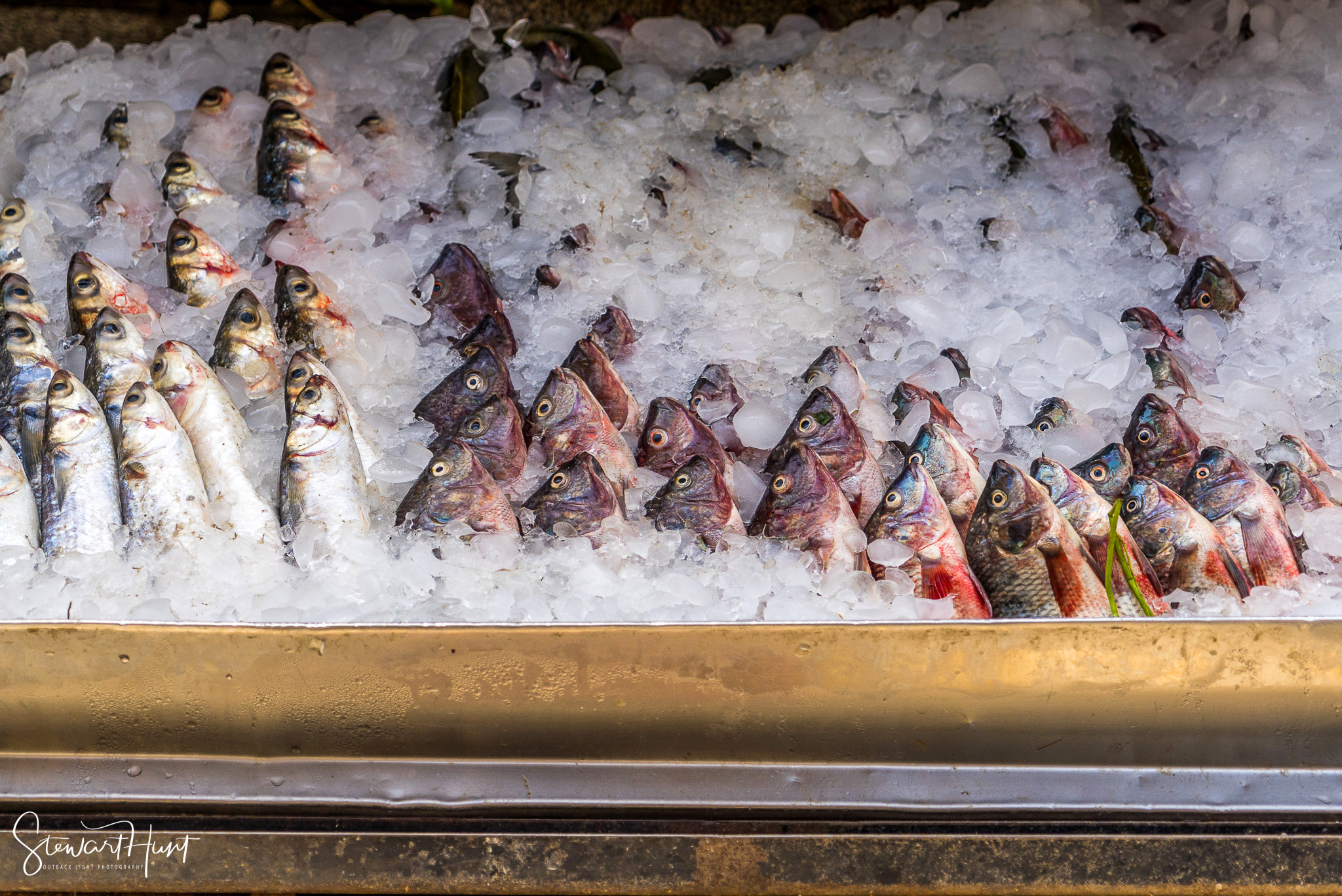 Cairo 20140516 03599