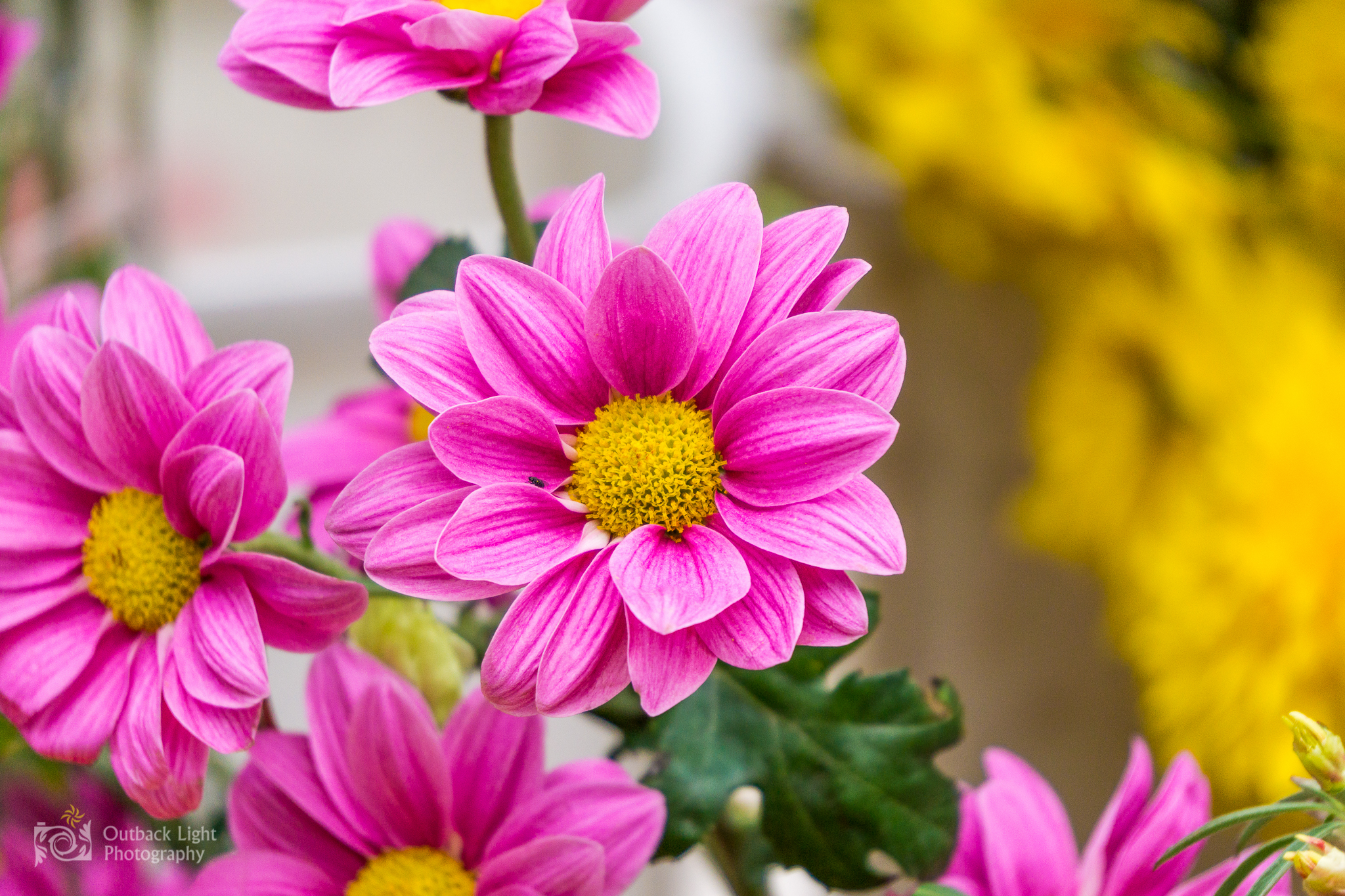 Peru 2016 A6000 6454