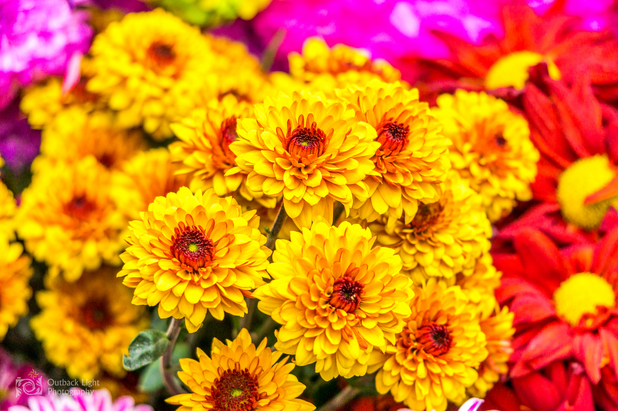 Peru 2016 A6000 6455